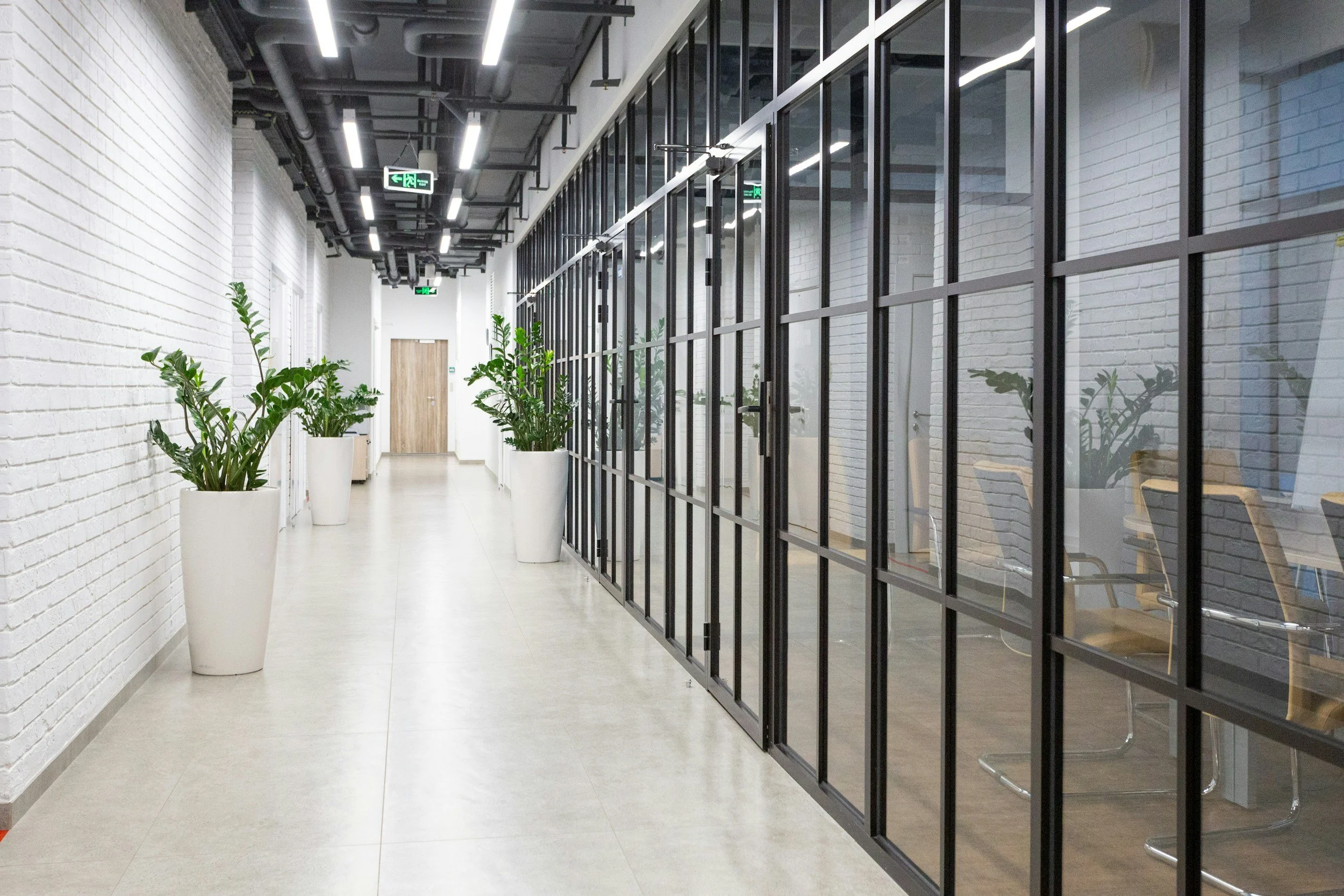 Bright commercial office corridor with glass walls and plants