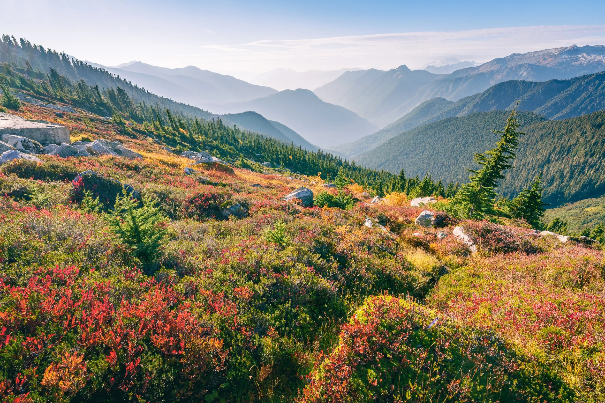 AUTUMN HIGHLANDS  |  Mount Baker-Snoqualmie National Forest