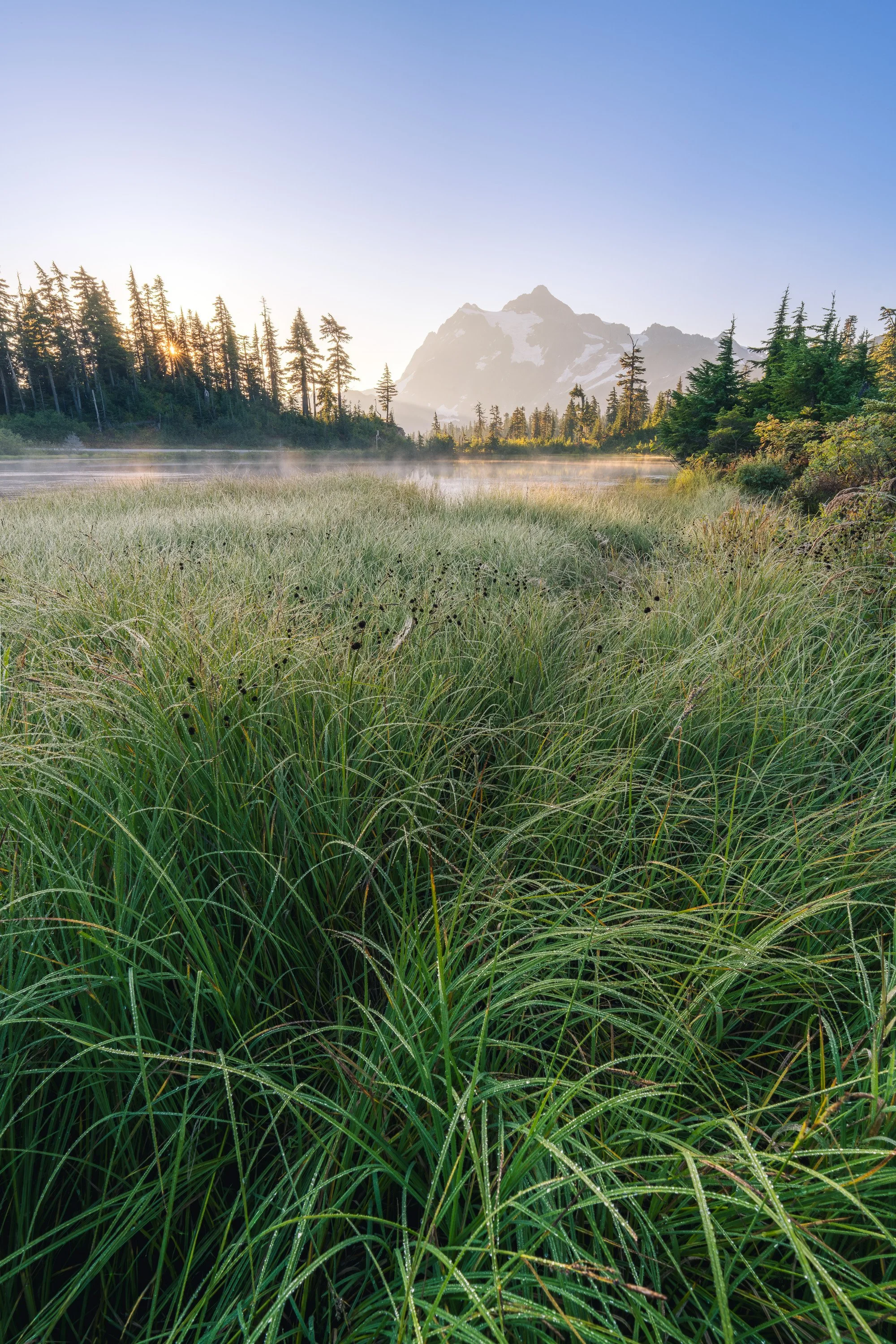 MORNINGS MEADOW  |  Picture Lake, WA