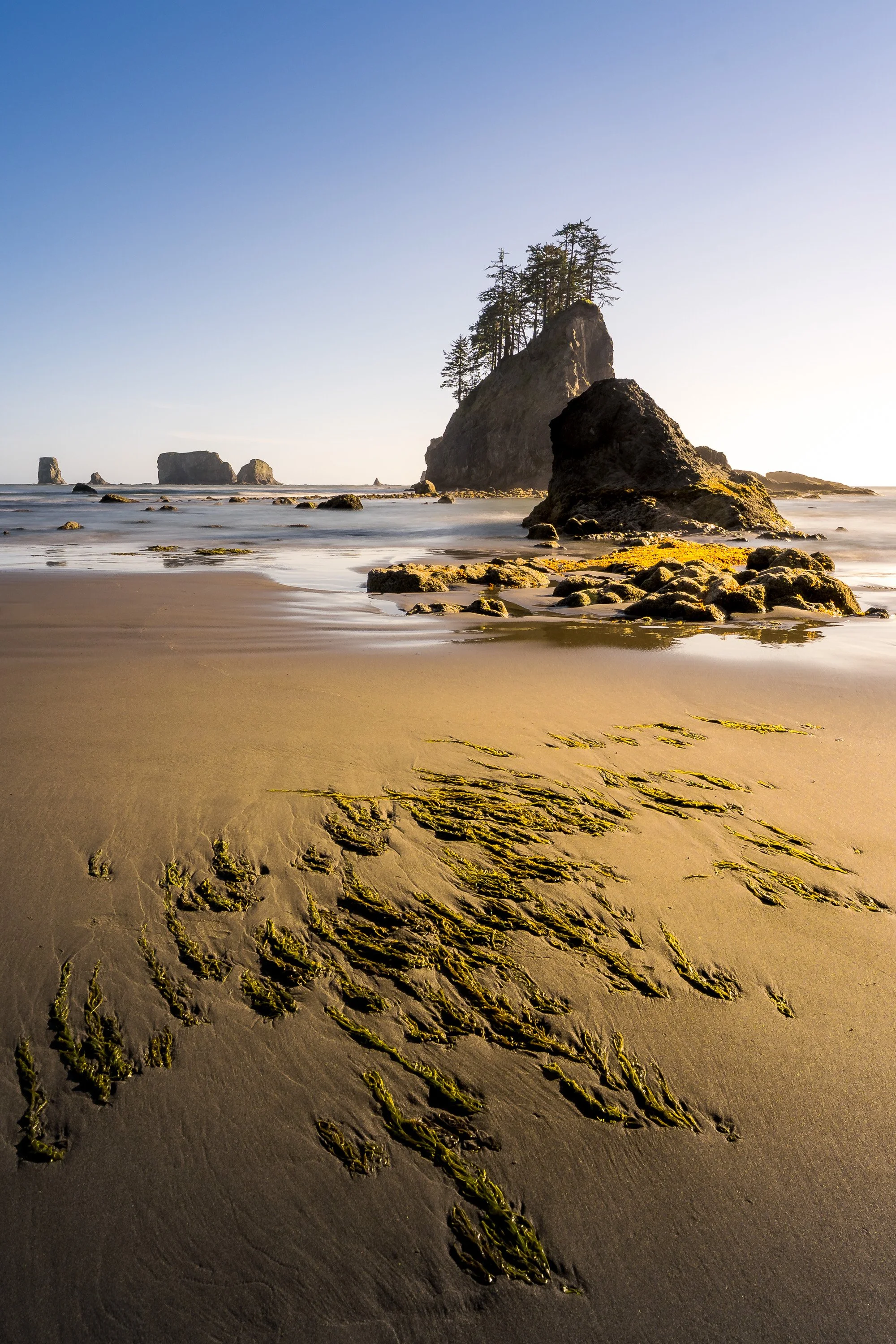 TIDAL LIGHT  |  Olympic National Park