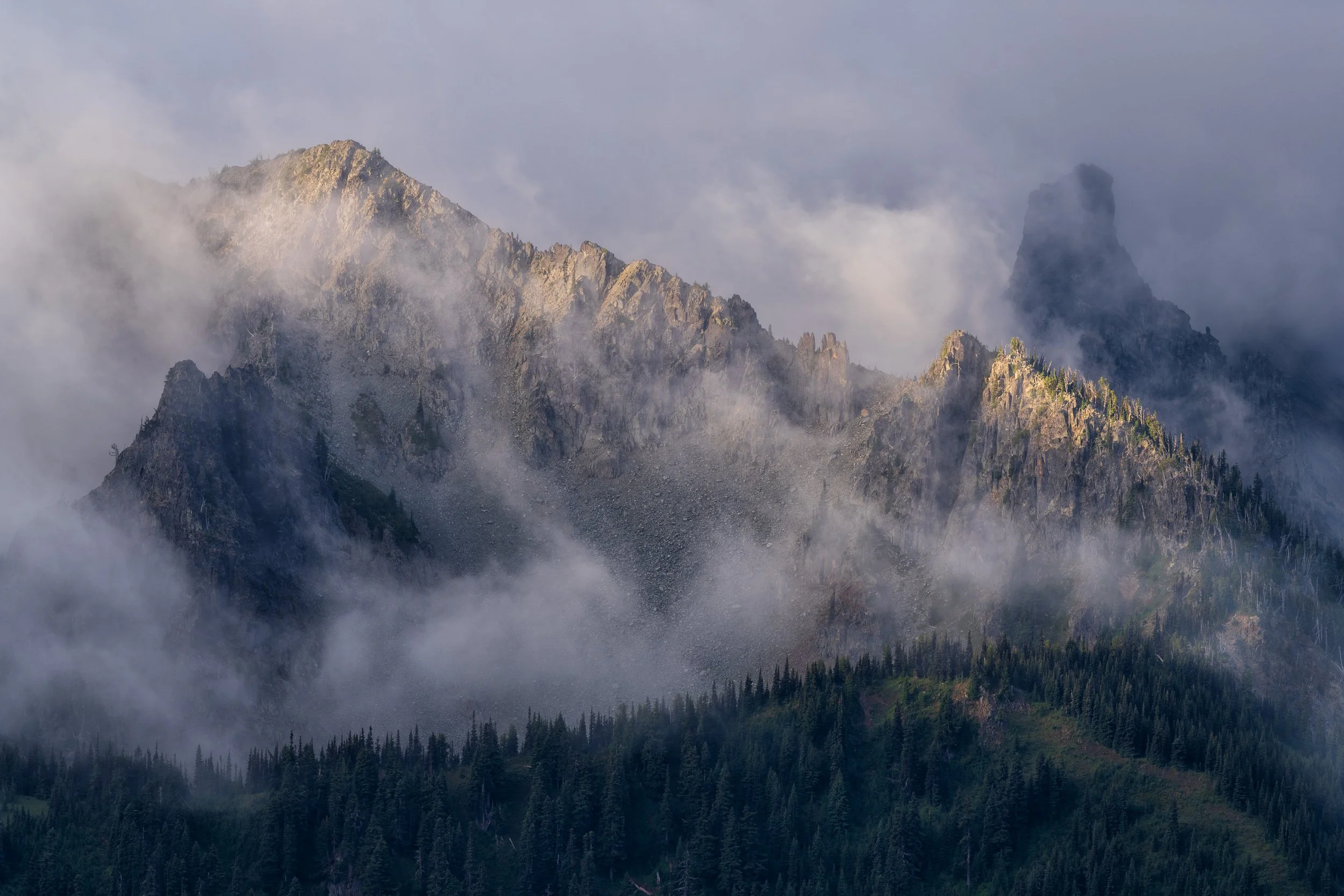 THROUGH THE MIST  |  Mount Rainier National Park