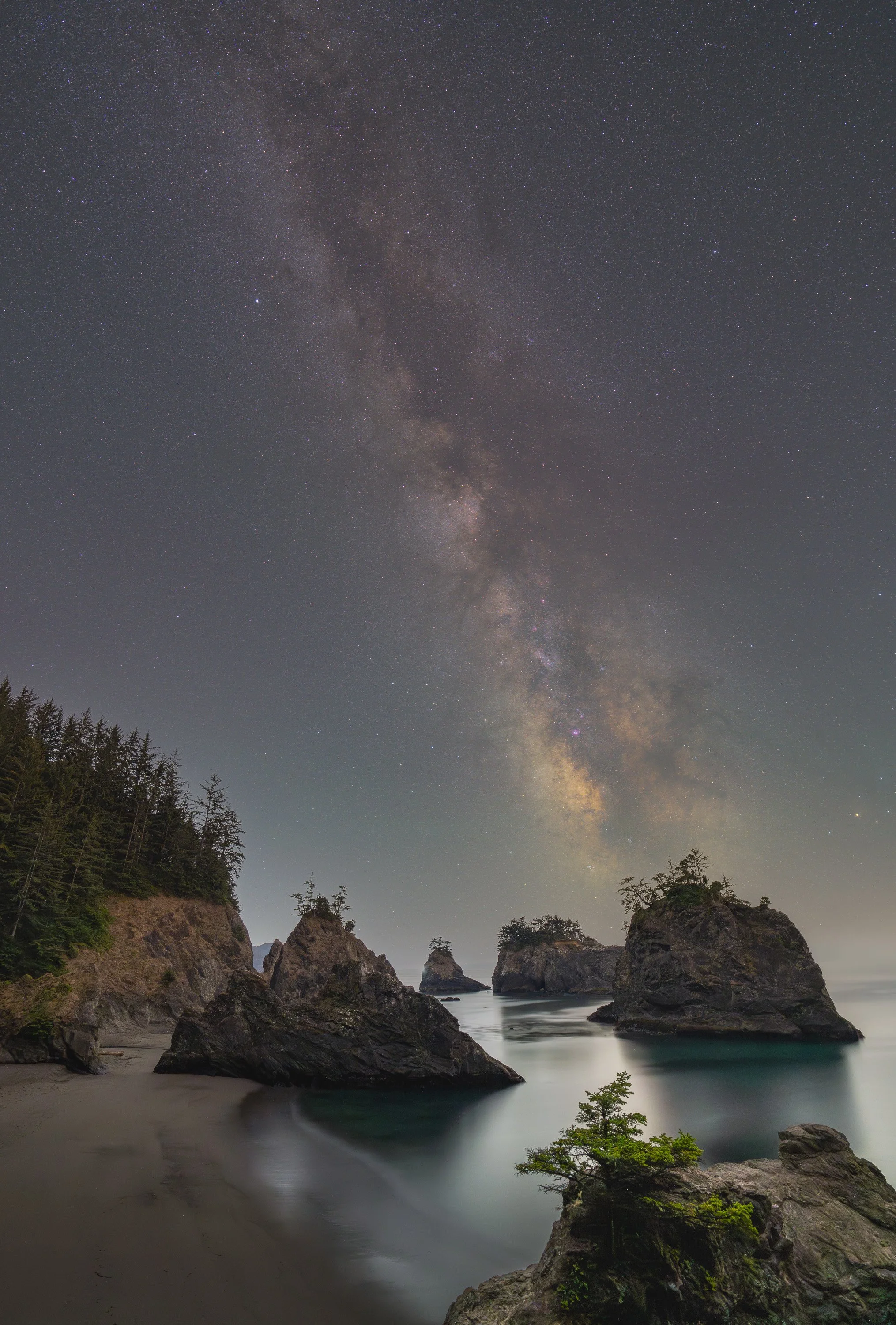 STARLIT COAST  |  Secret Beach, OR