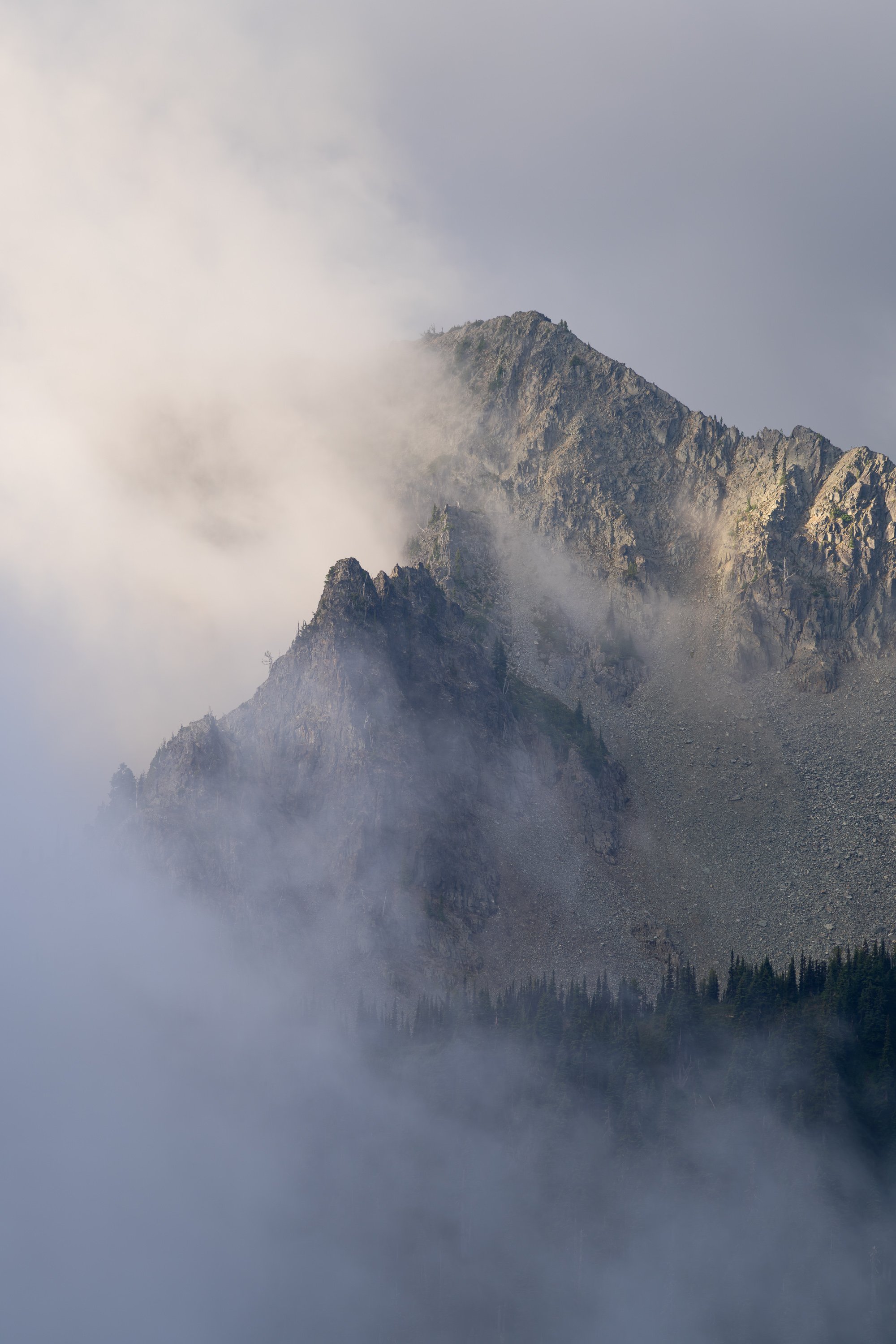 EMERGENCE  |  Mount Rainier National Park