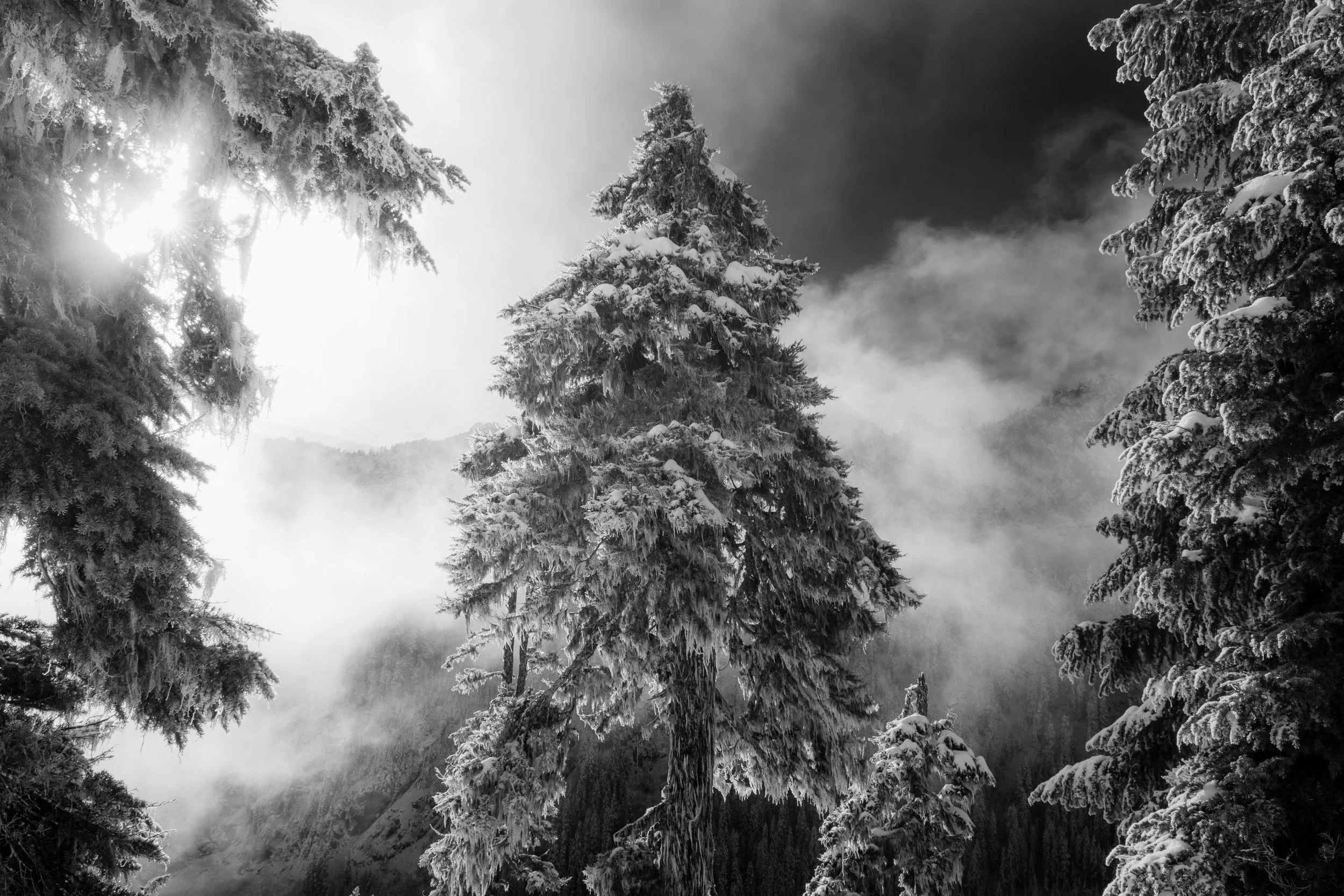WINTER LIGHT: SENTINEL  |  Mt. Baker-Snoqualmie National Forest