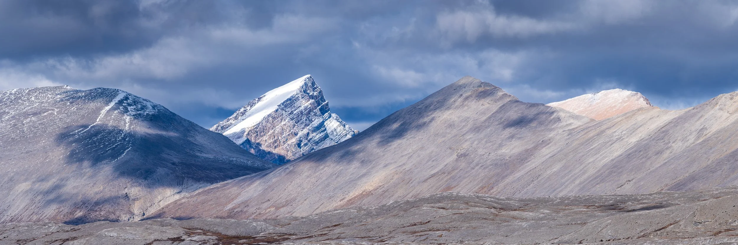 HIGH COUNTRY  |  Jasper National Park