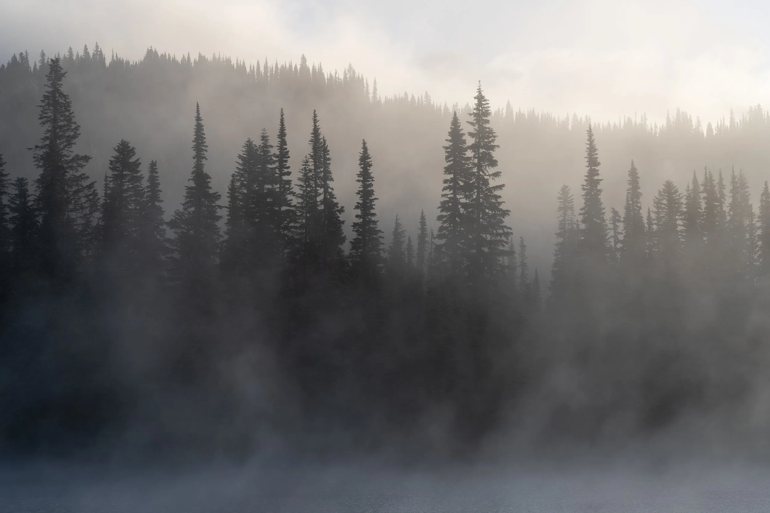 Fog drifts through layers of trees at Reflection Lake in Mount Rainier National Park.