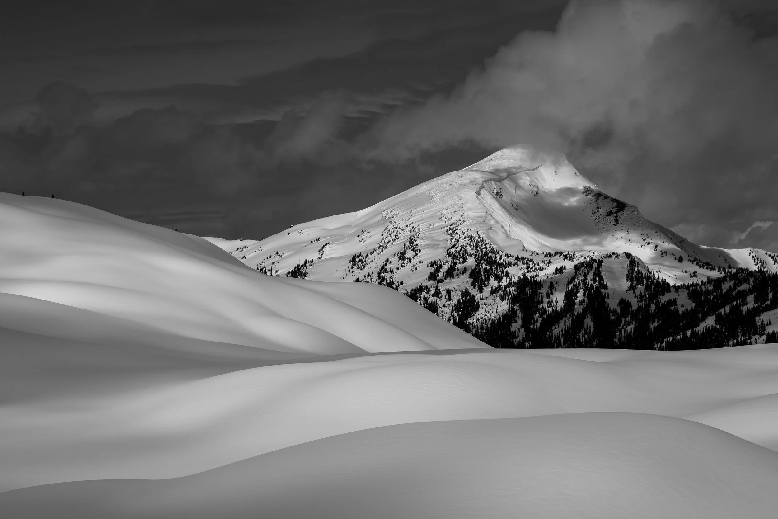 Silent Waves Project