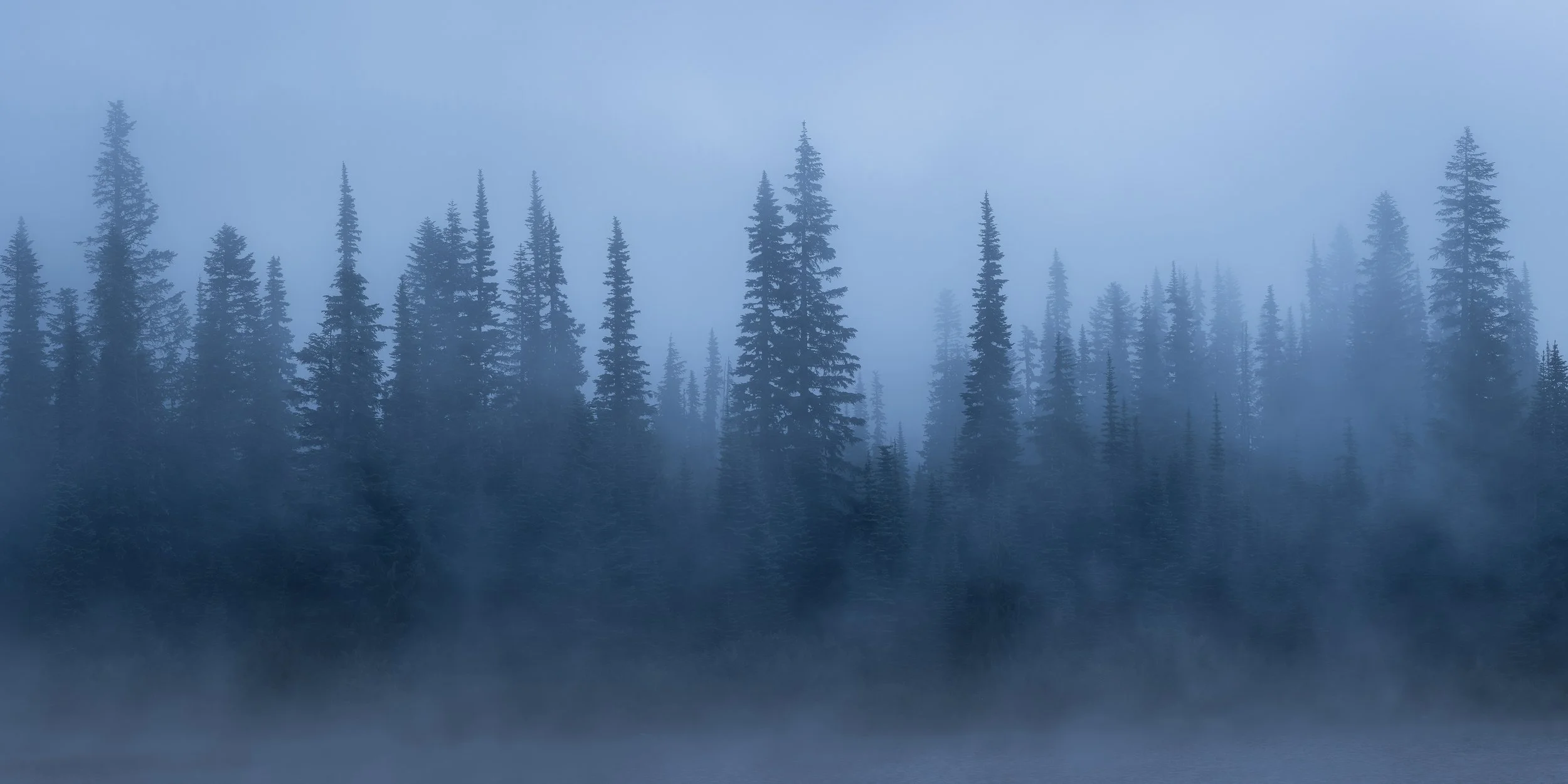 THE MOODY BLUES  |  Mount Rainier National Park