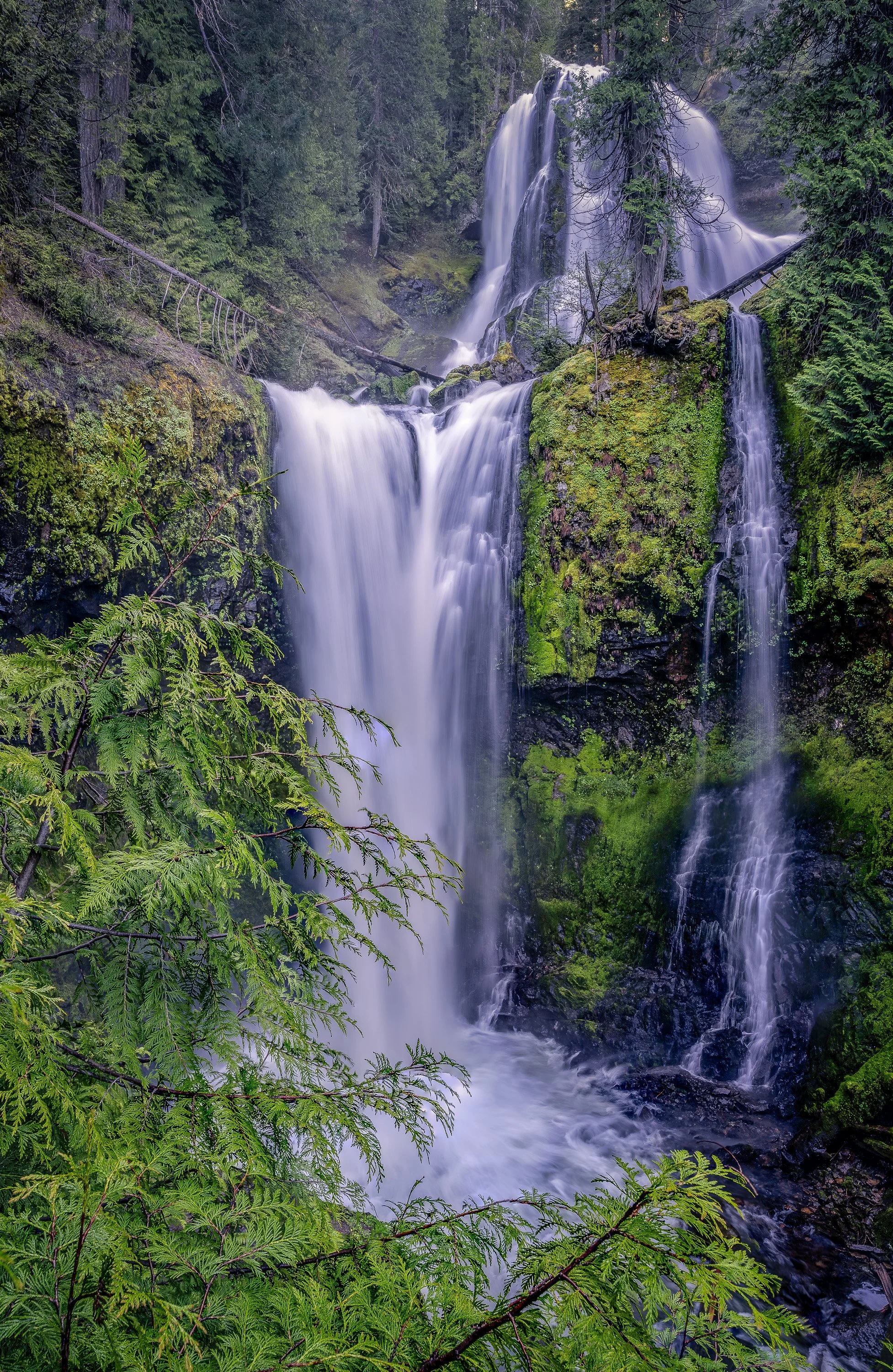 FALLS CREEK FALLS  |  Gifford Pinchot National Forest