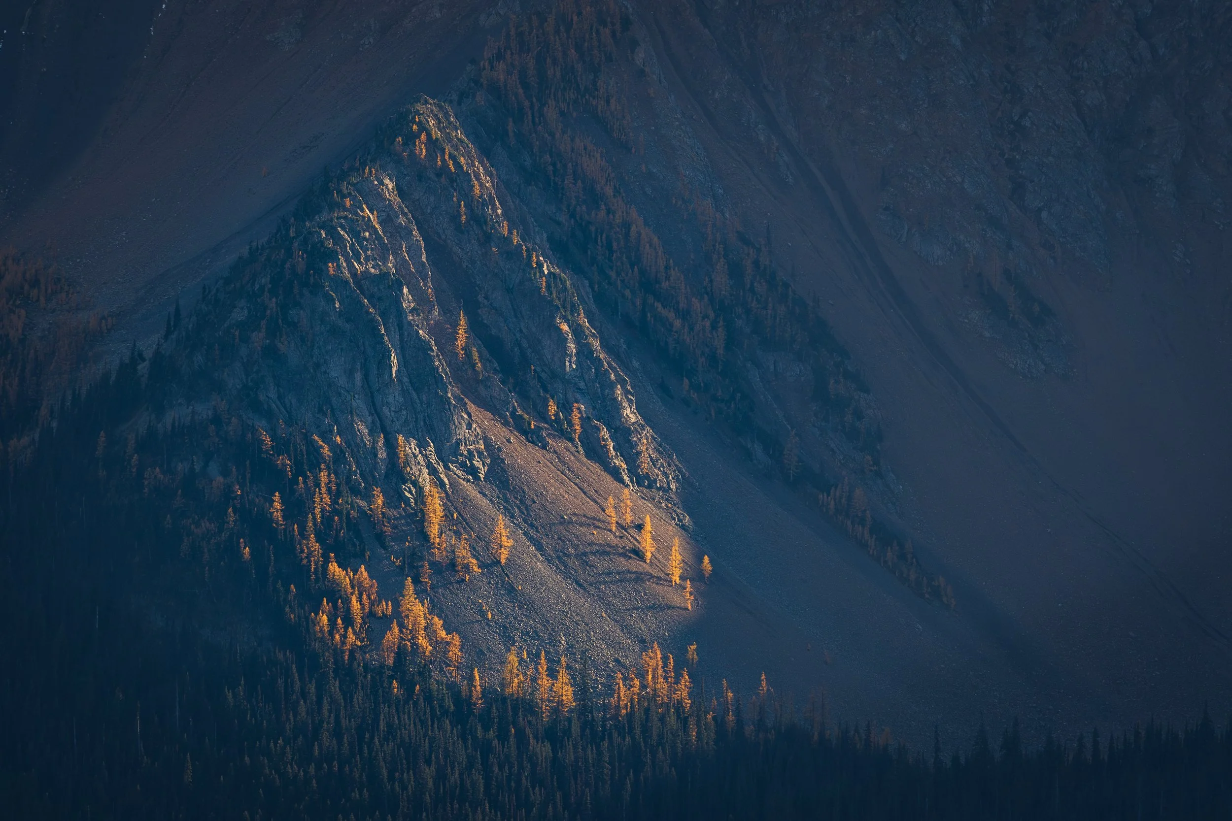 LARCHLIGHT  |  North Cascades, WA