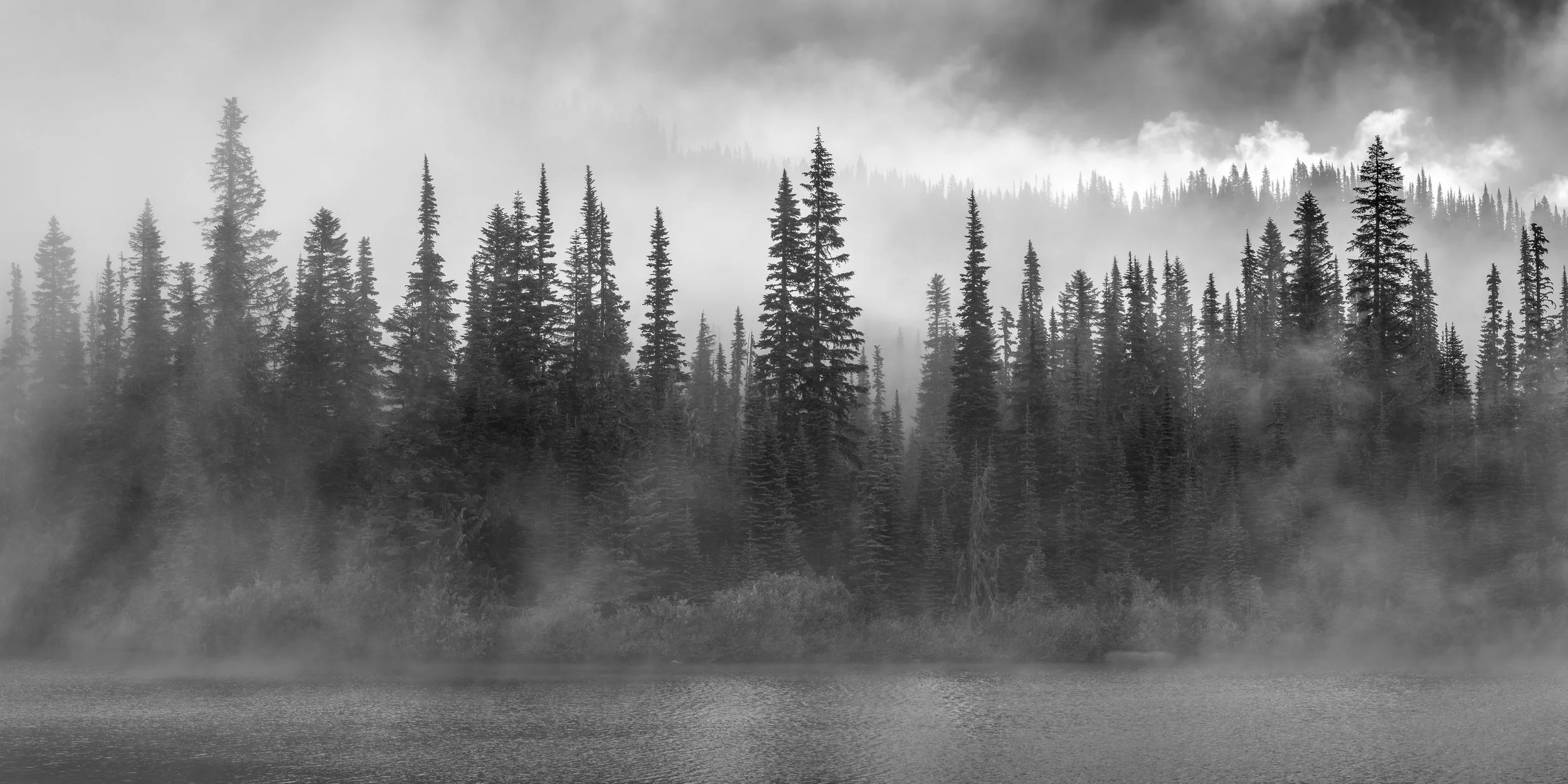 DRIFT  |  Mount Rainier National Park