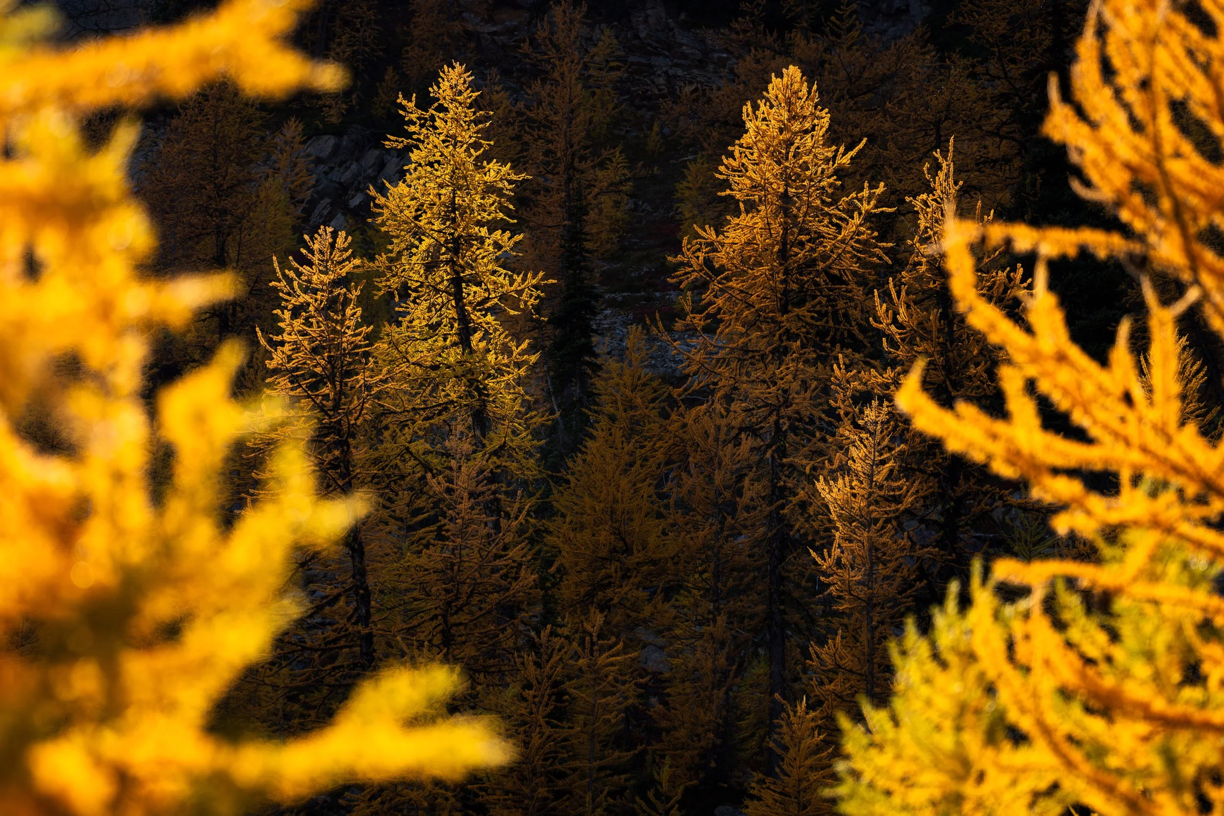 GLOW BETWEEN  |  North Cascades, WA