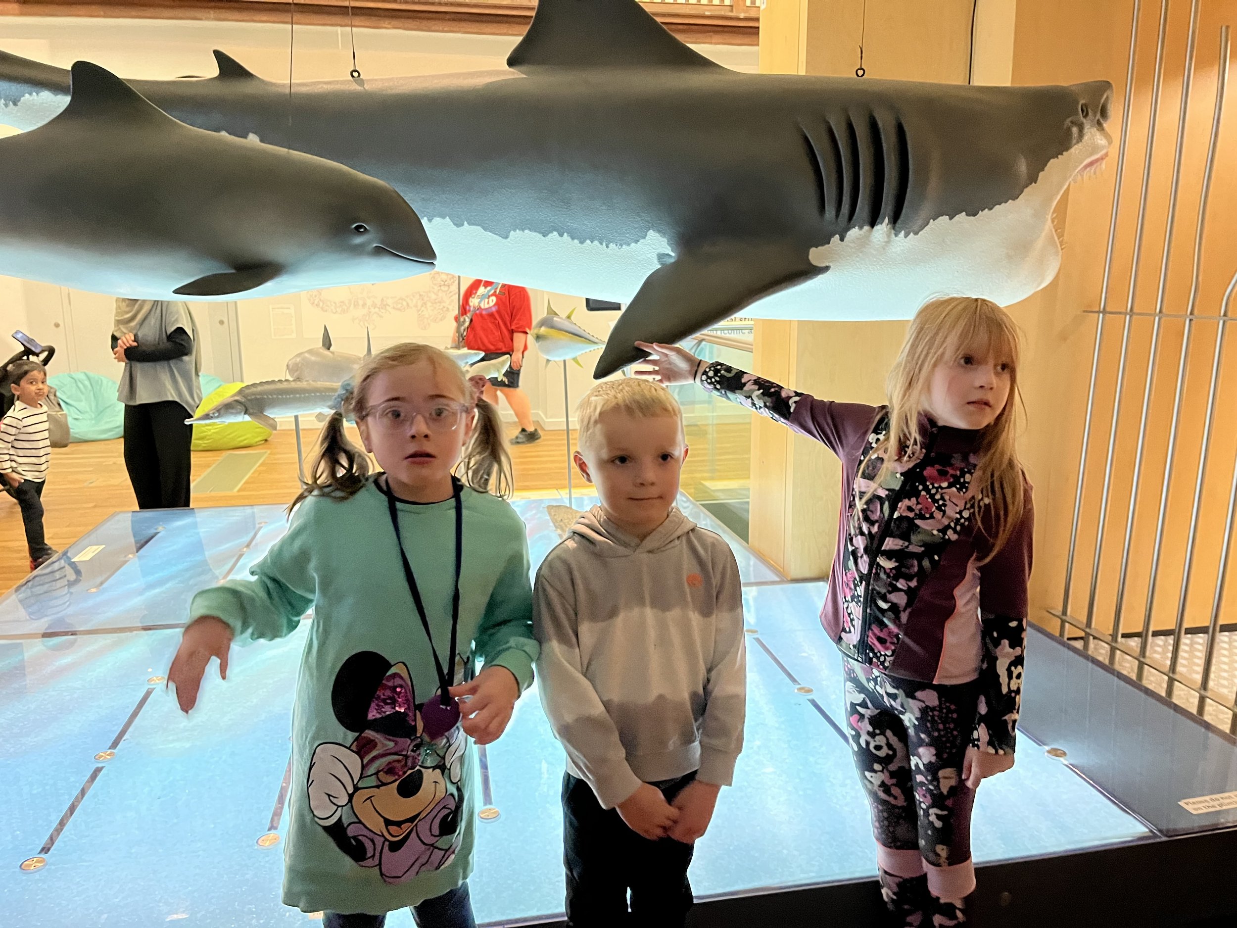 Children at a museum exhibit with a large model of a whale shark hanging above them.