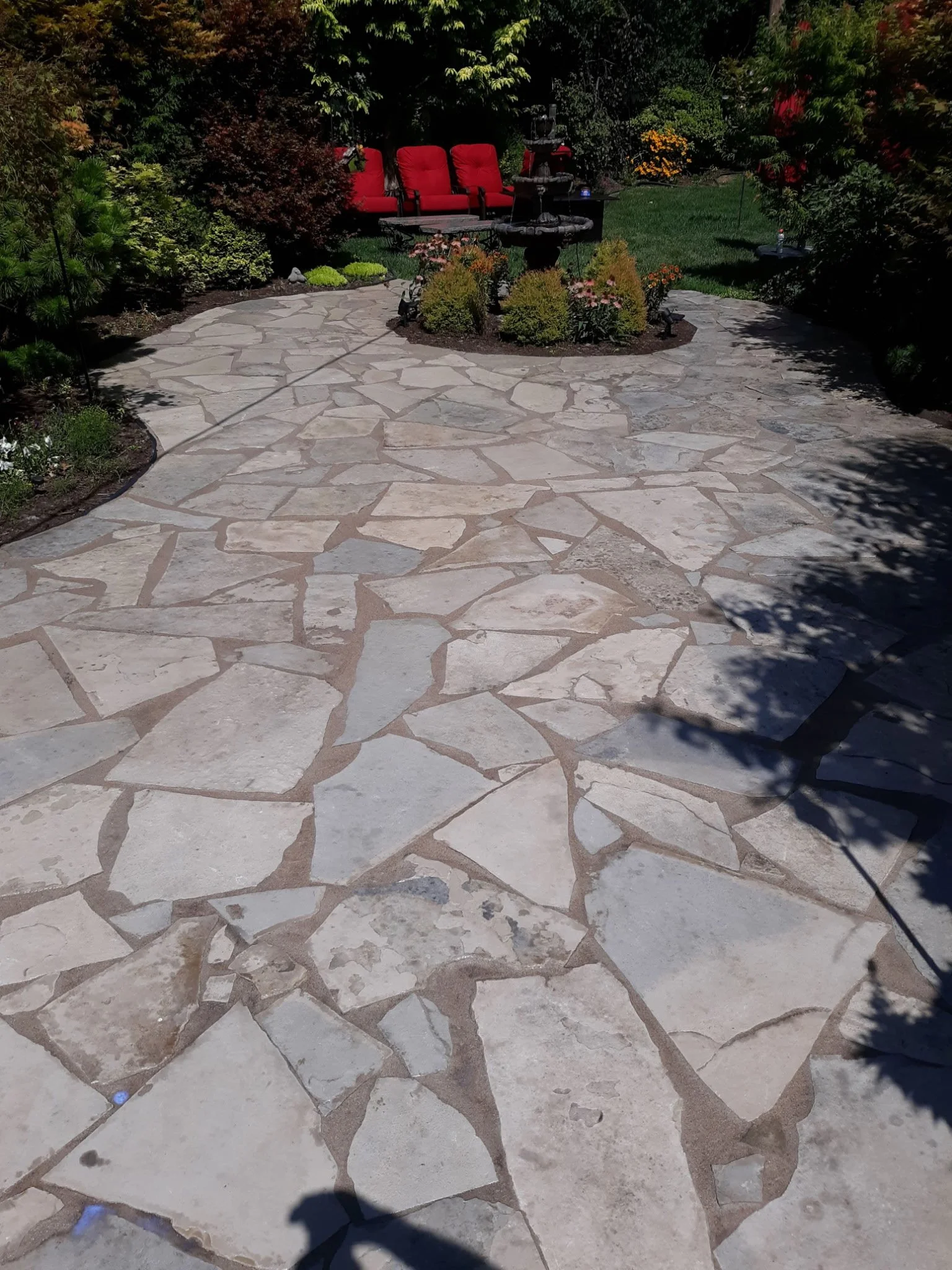 20190823_143037.jpg