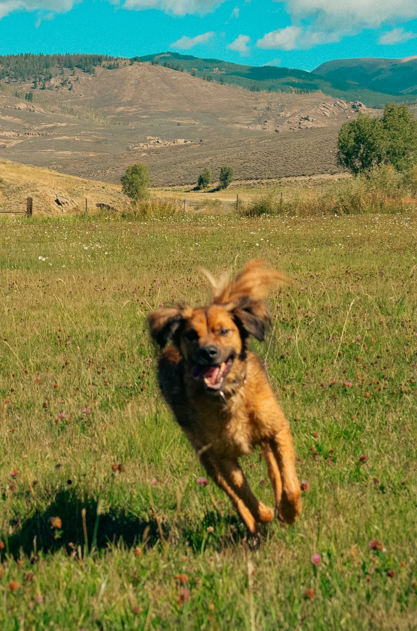 DSC_0020.jpg