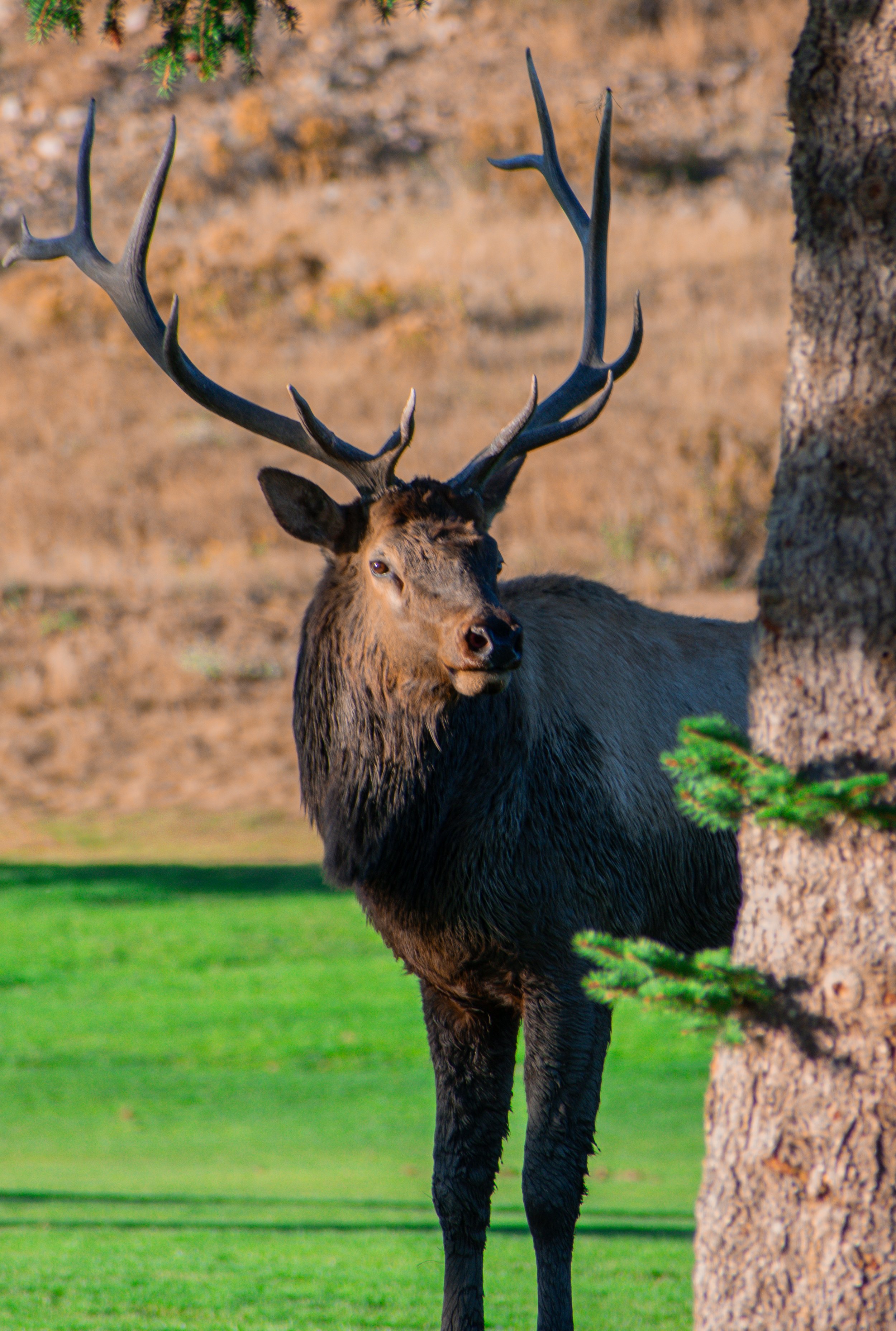 DSC_0346.jpg