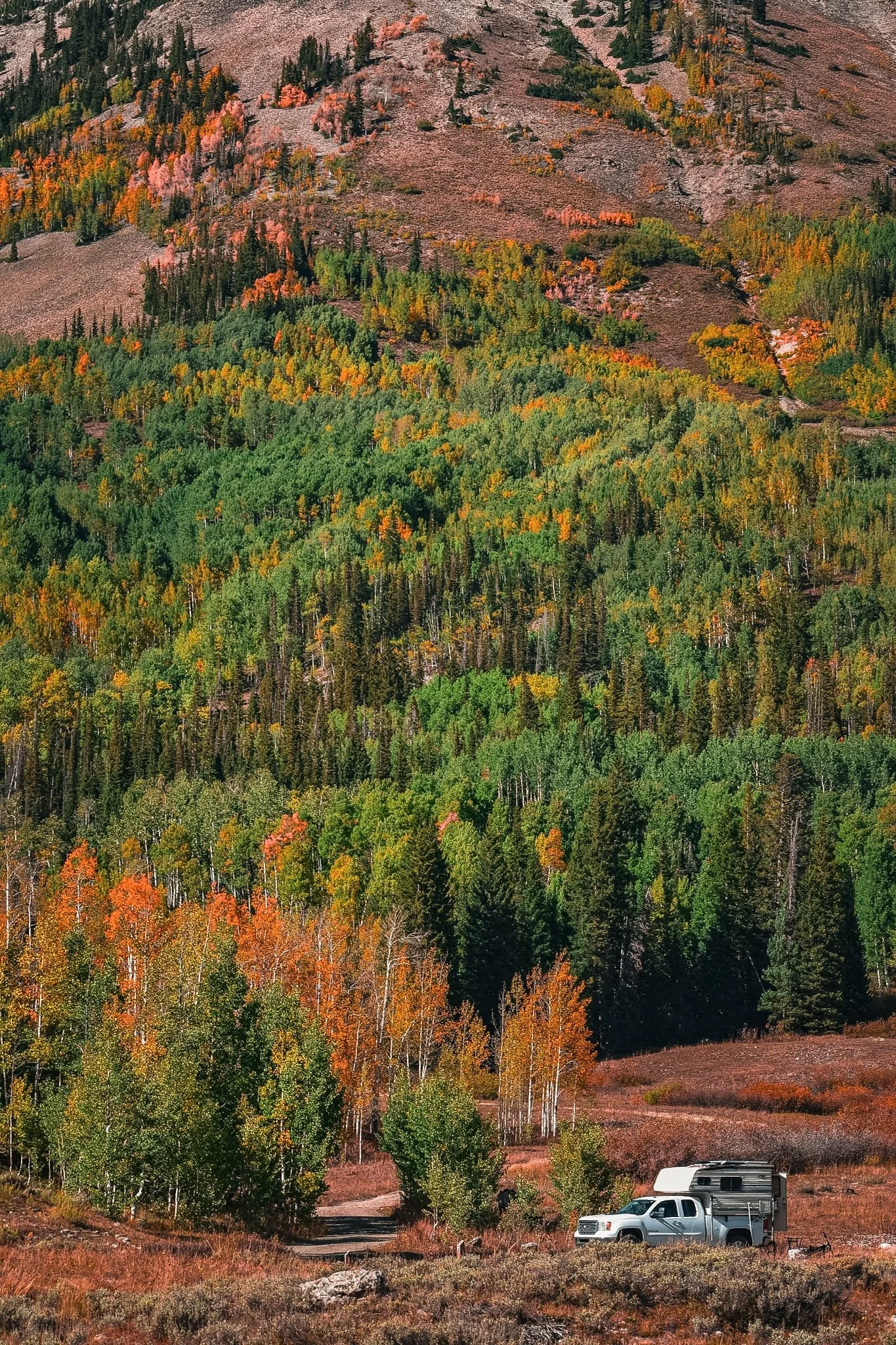 DSC_0034 2.JPG