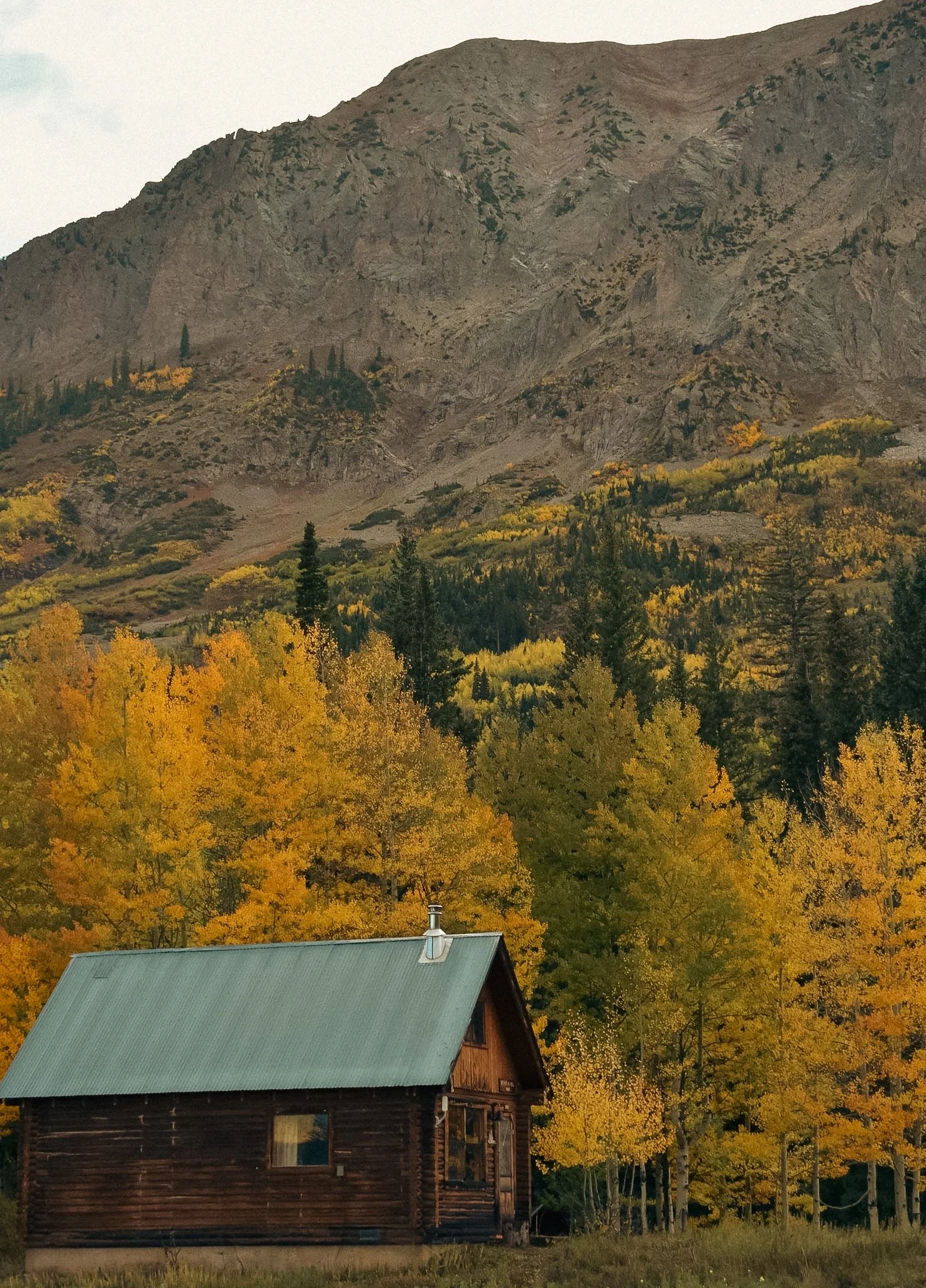 DSC_0080.JPG