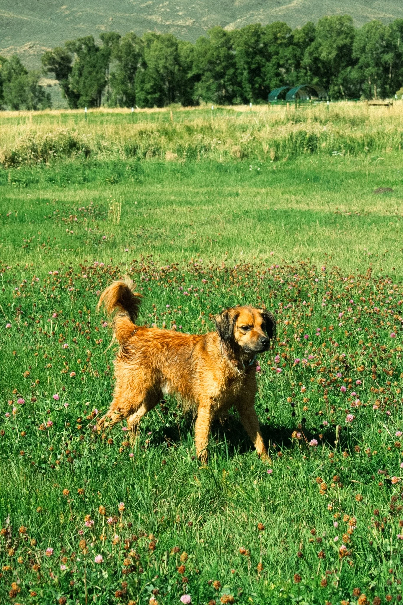 DSC_0349.jpg