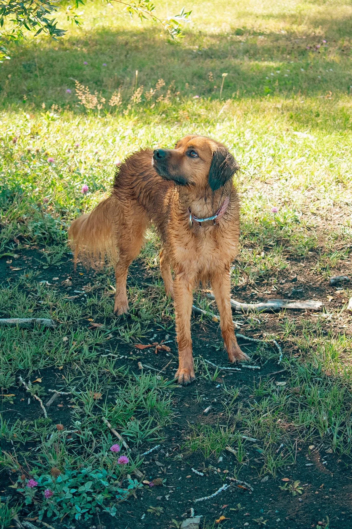 DSC_0466.jpg