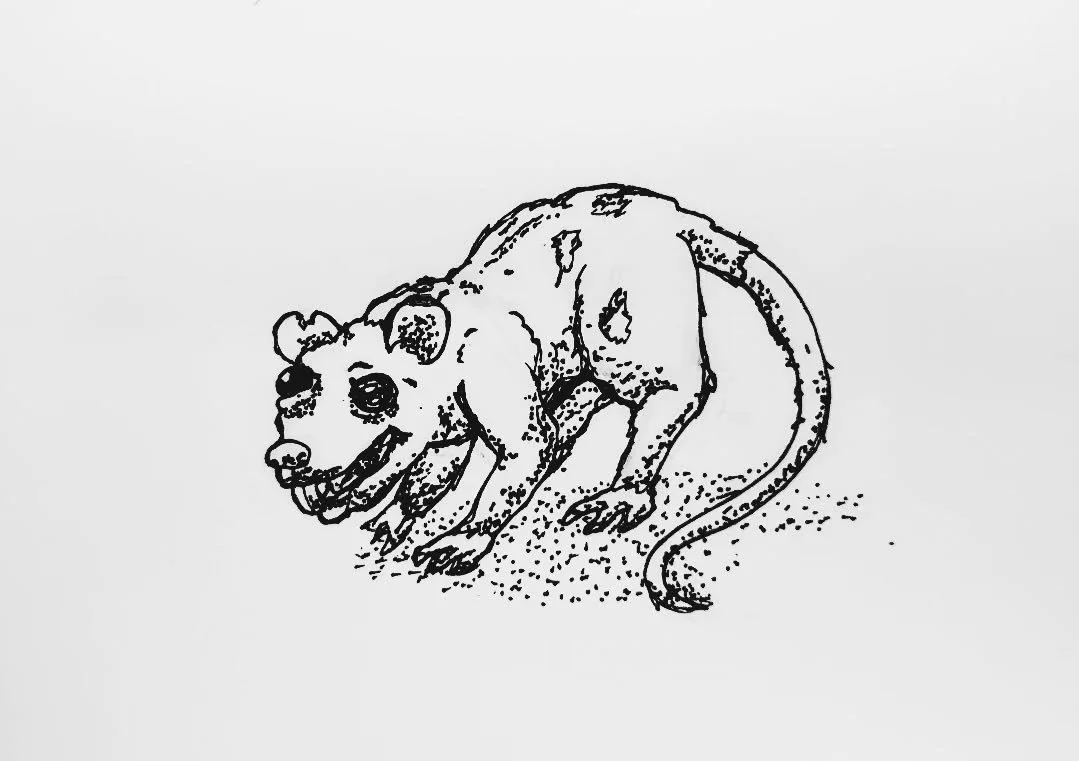 Day 15 was #Ragged
.
.
.
#inktober #inktober2025 #rat #subwayrat