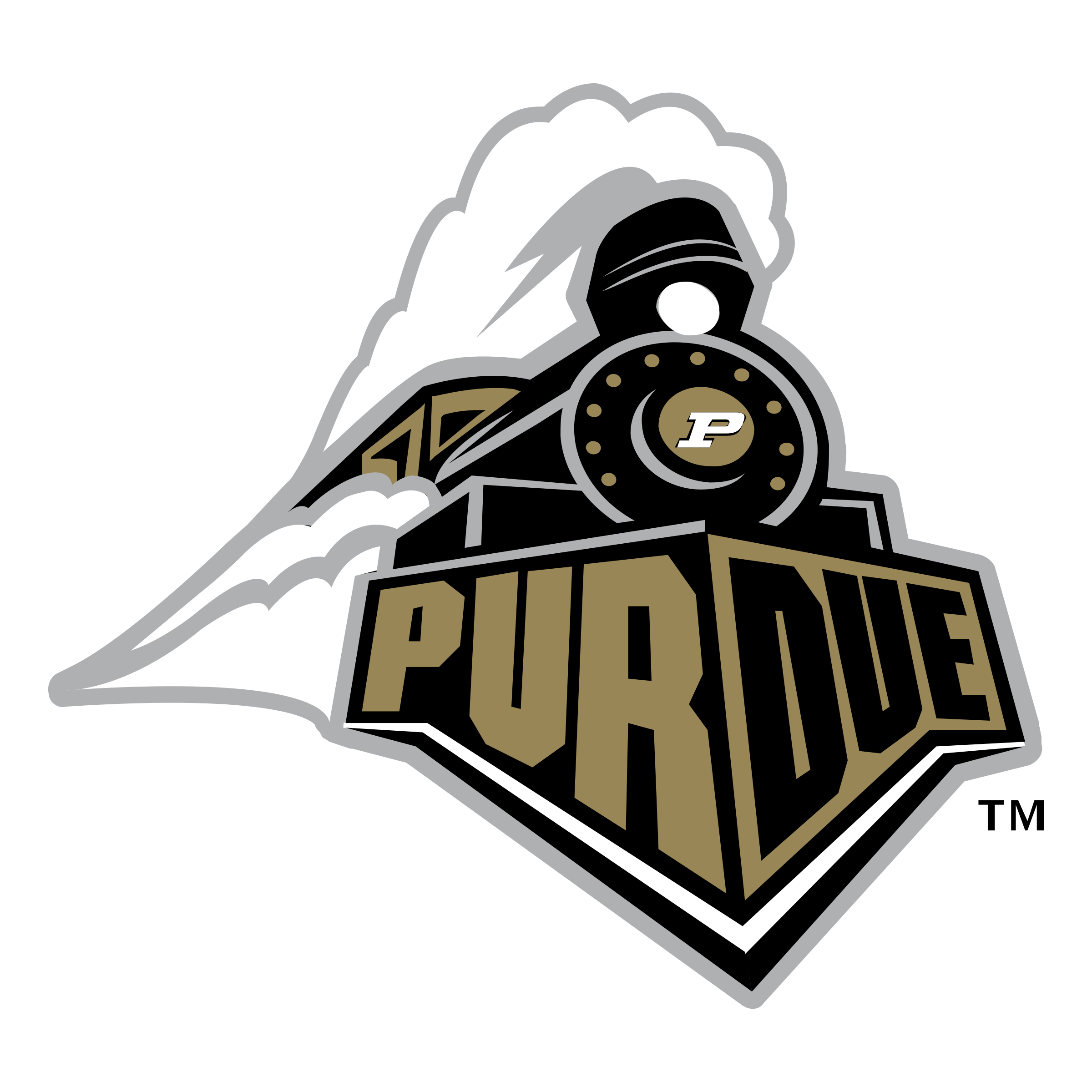 perdue logo.png