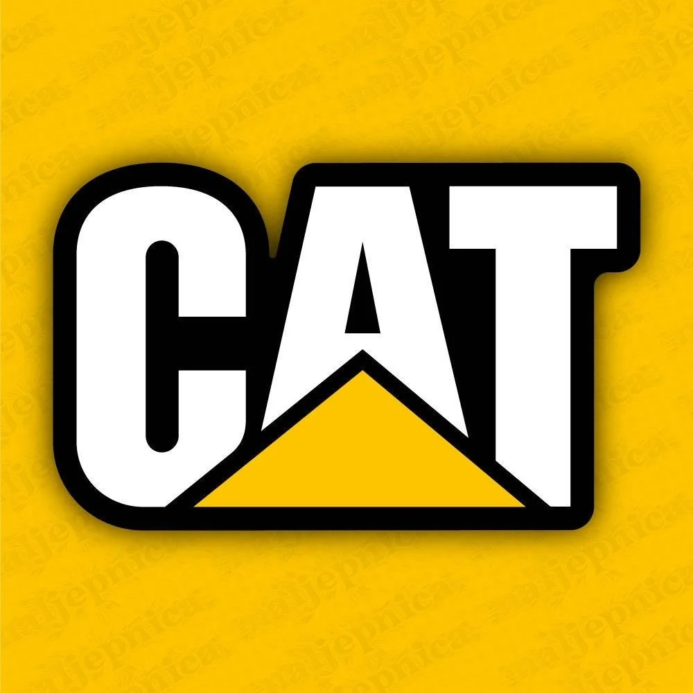 CAT.jpg