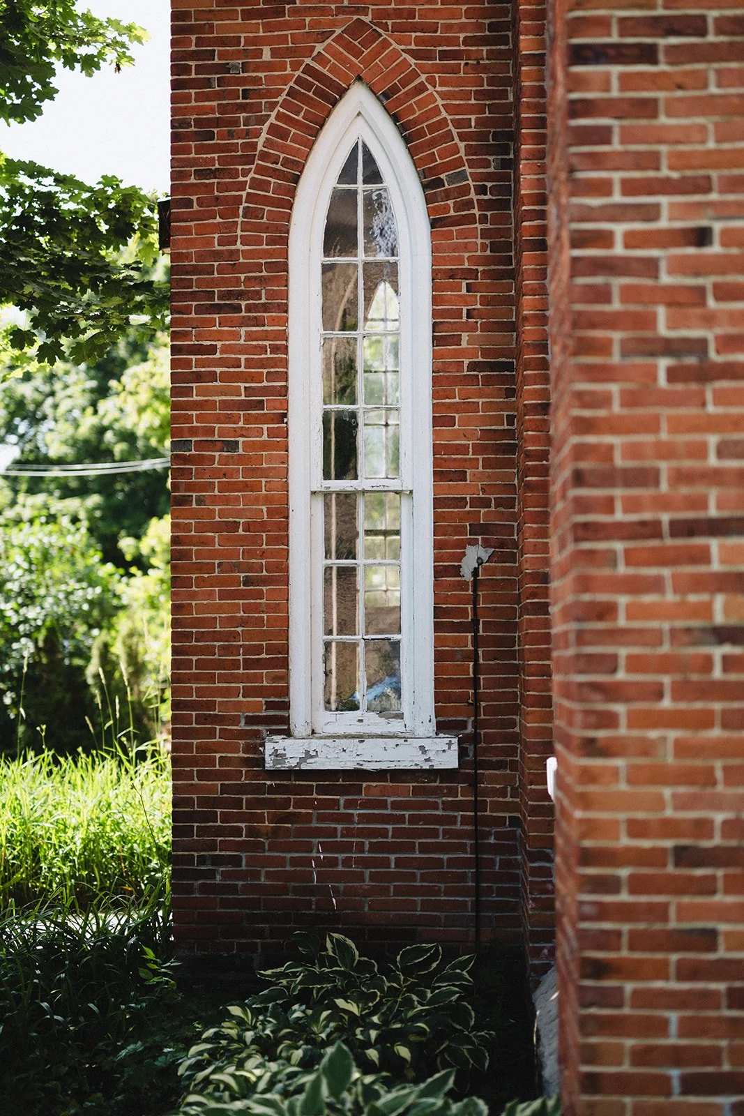 A tall, arched window in a red brick building with peeling white paint on the window frame, with green foliage and trees visible outside.