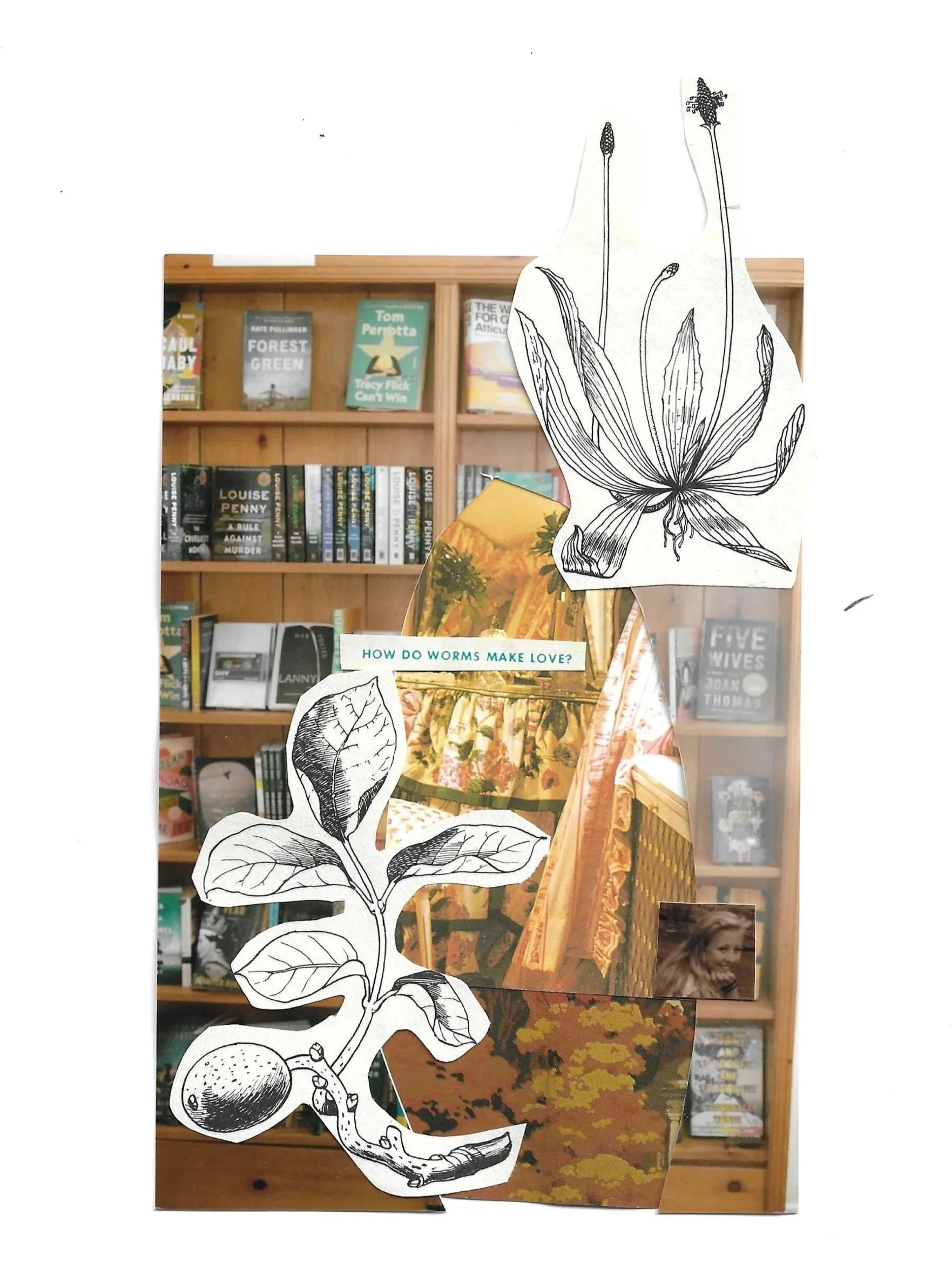 A bookshelf in a bookstore with books on various topics, with some black and white botanical illustrations and a small cut-out of a fruit and a question that reads, "How do worms make love?"