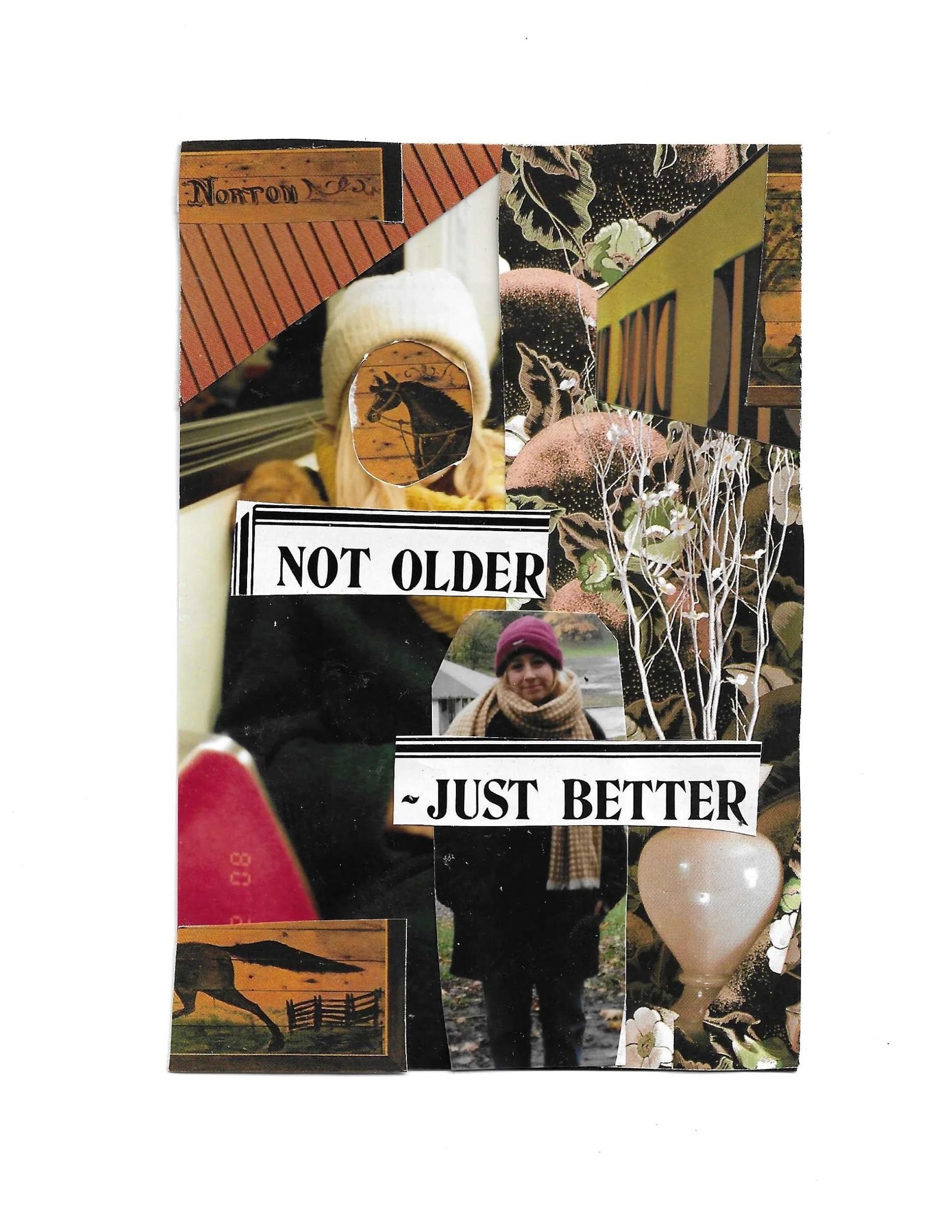 Collage of various images including a person with a cold-weather hat, a woman in a scarf, flowers in a vase, a person walking outside, a horse picture, a 'Not Older' sign, and various plants, all arranged in a mixed media style.