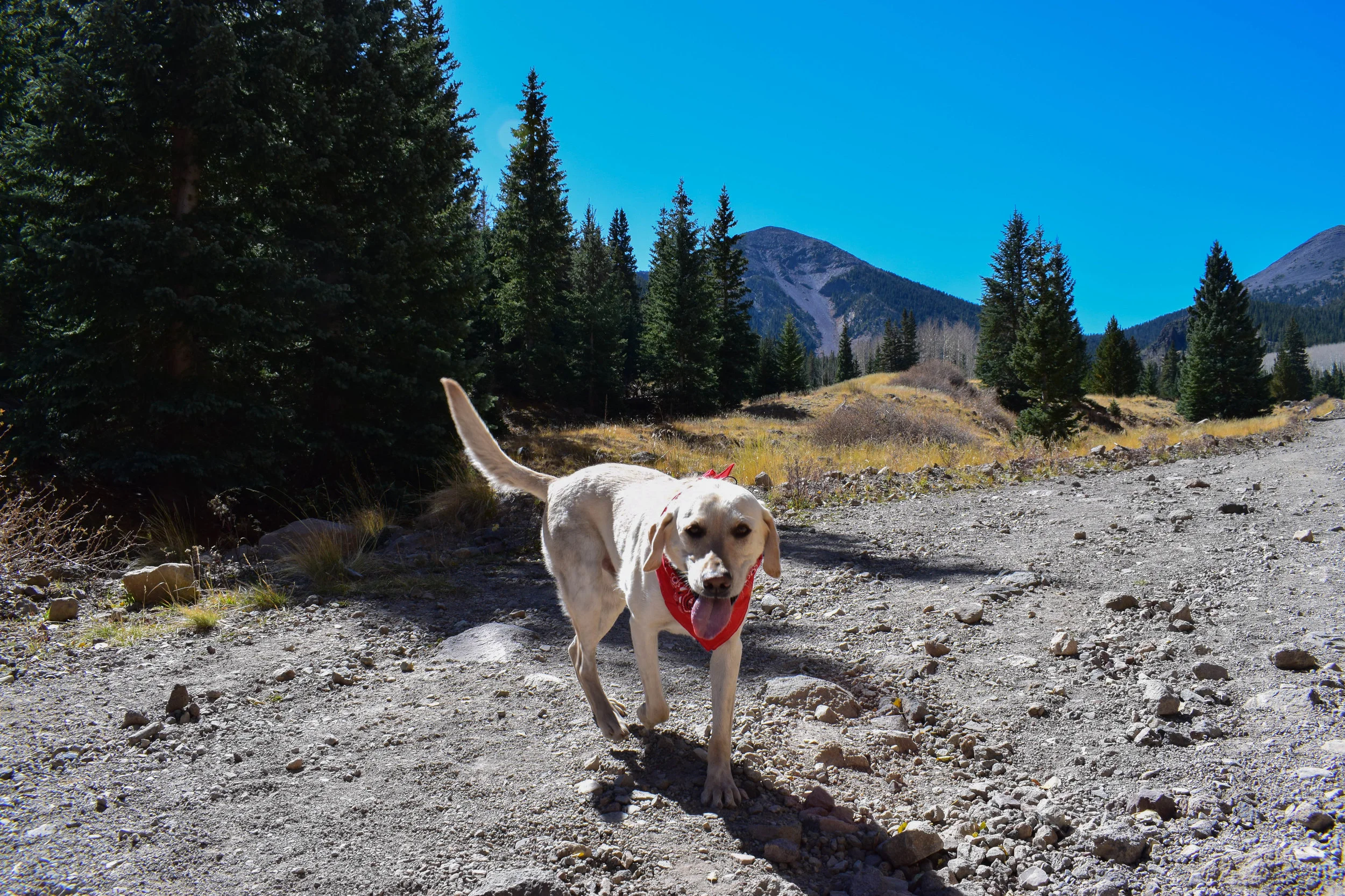 DSC_0186.jpg