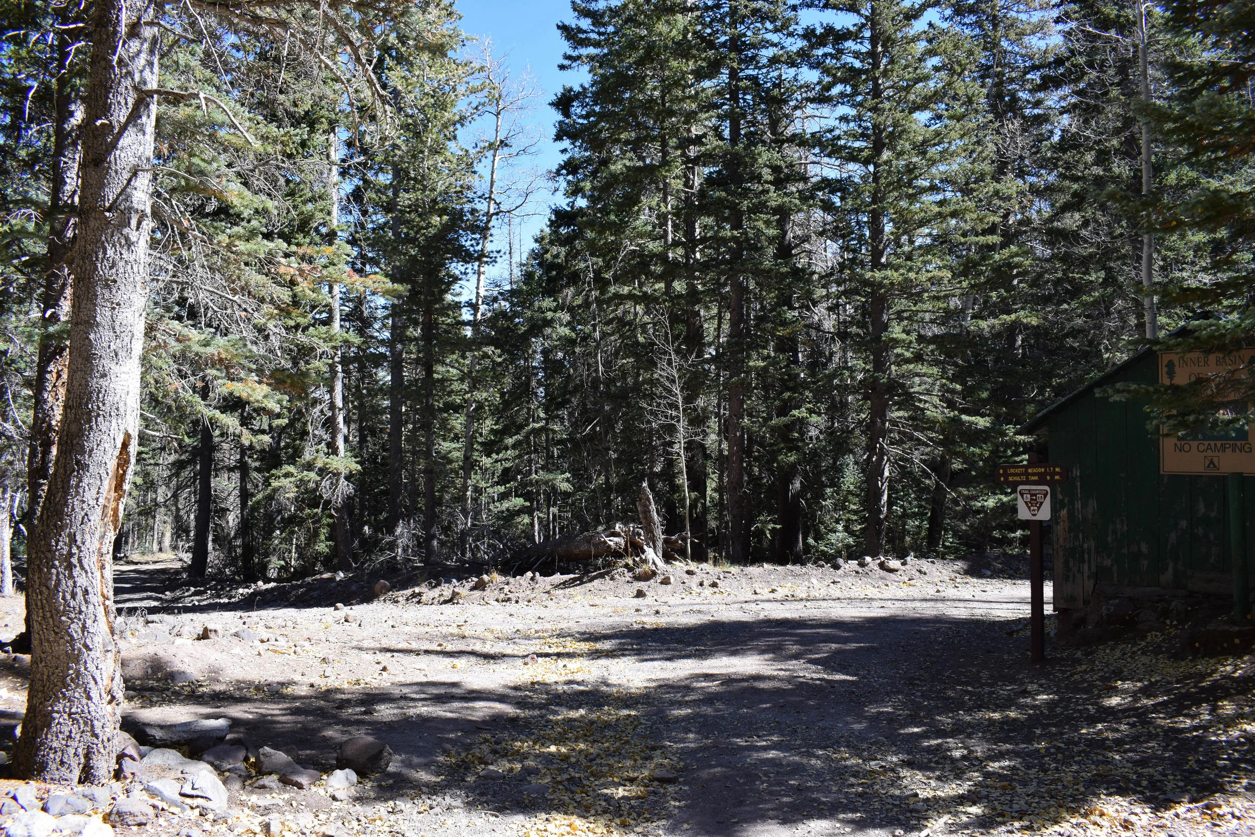 DSC_0177.jpg
