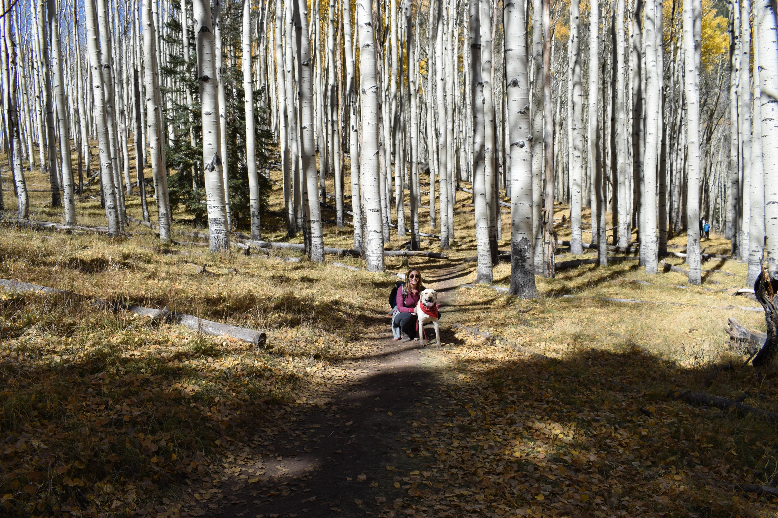 DSC_0164.jpg