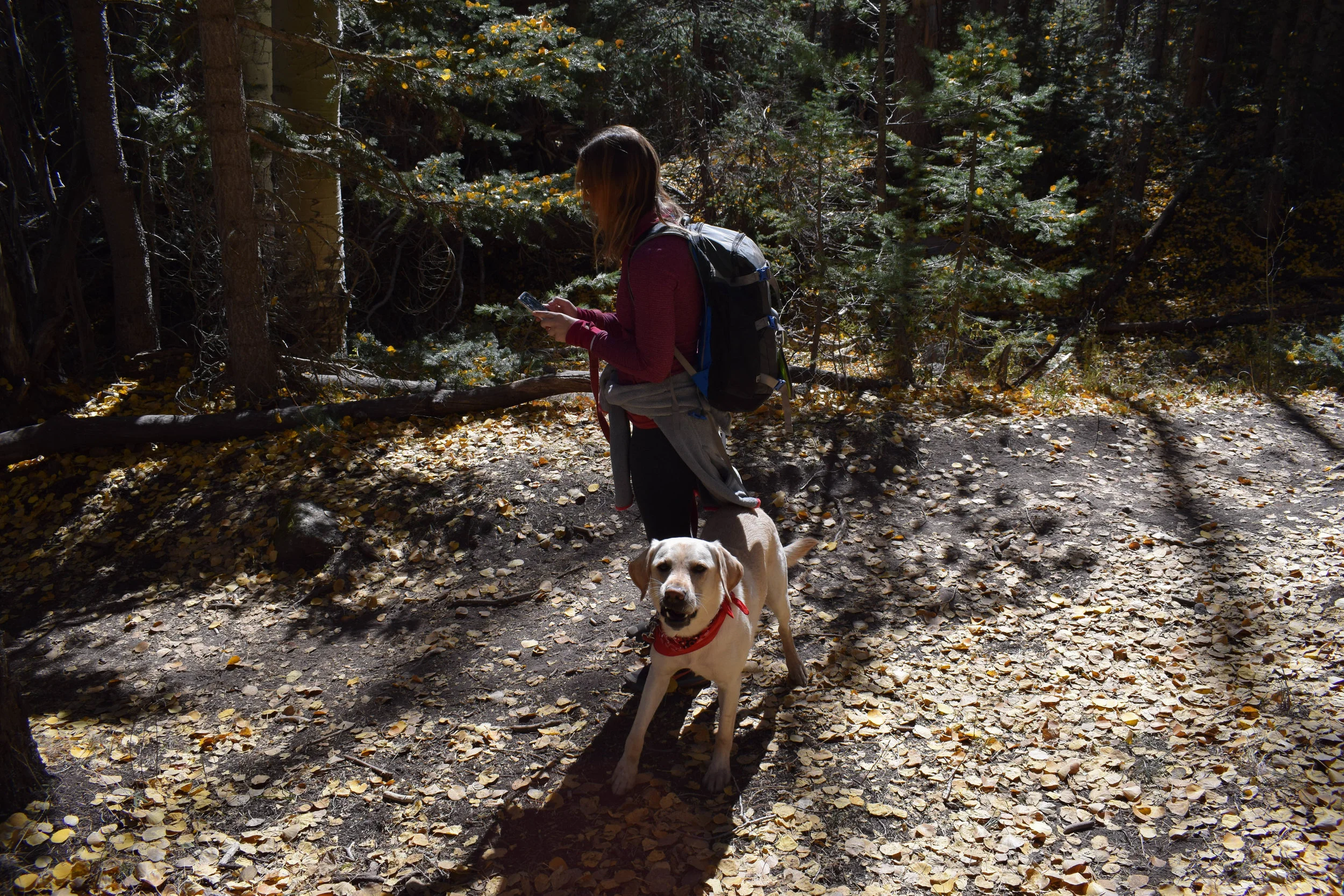 DSC_0135.jpg