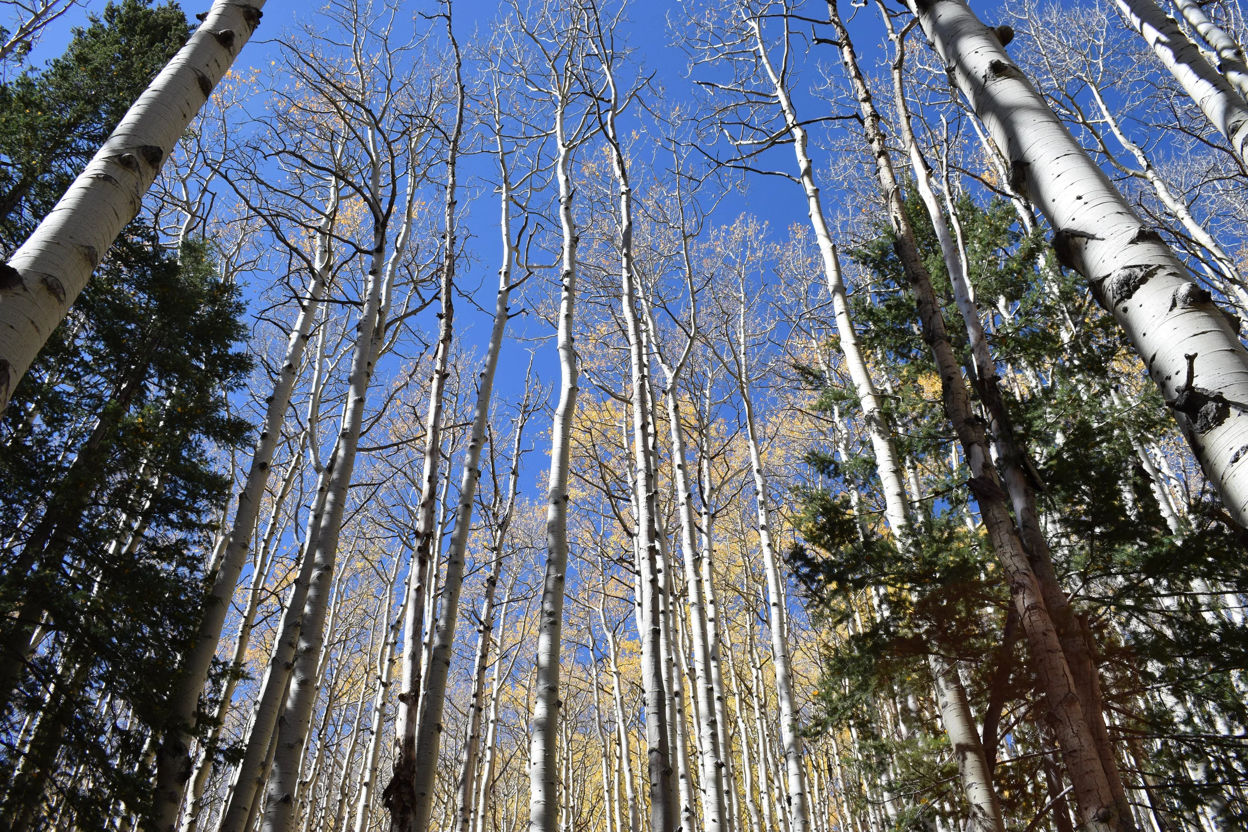 DSC_0157.jpg
