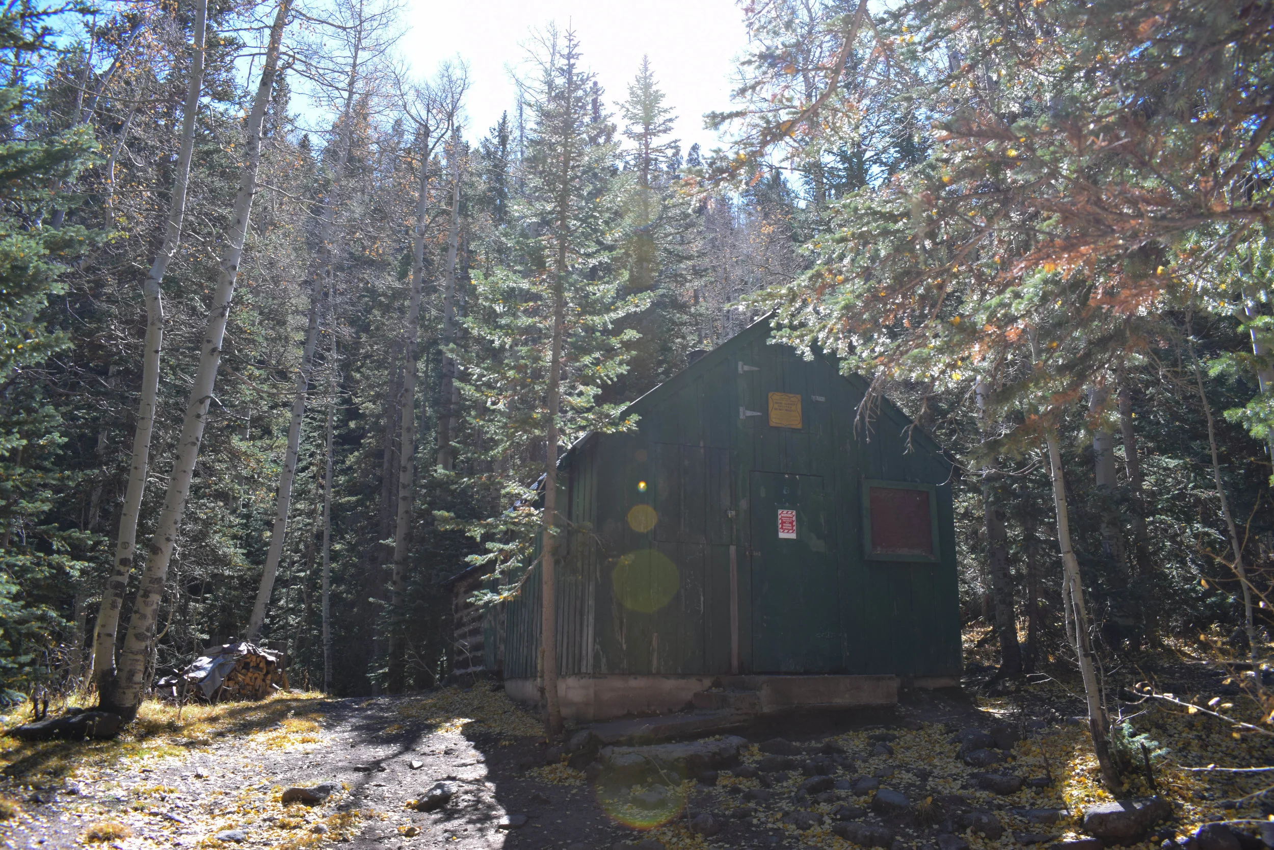DSC_0175.jpg