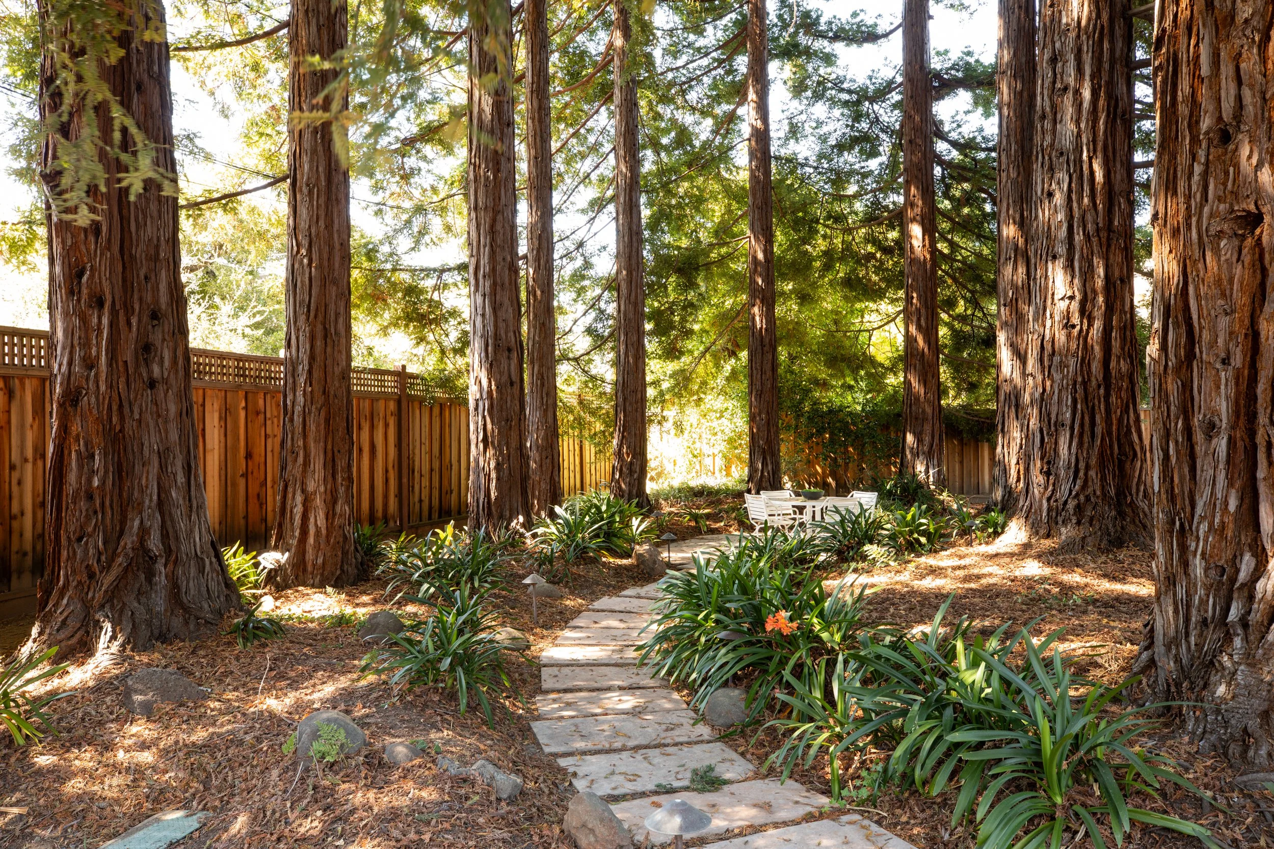 A wooden fence surrounds a garden filled with tall trees, green foliage, shrubs, and a small stone pathway with white chairs in the background.
