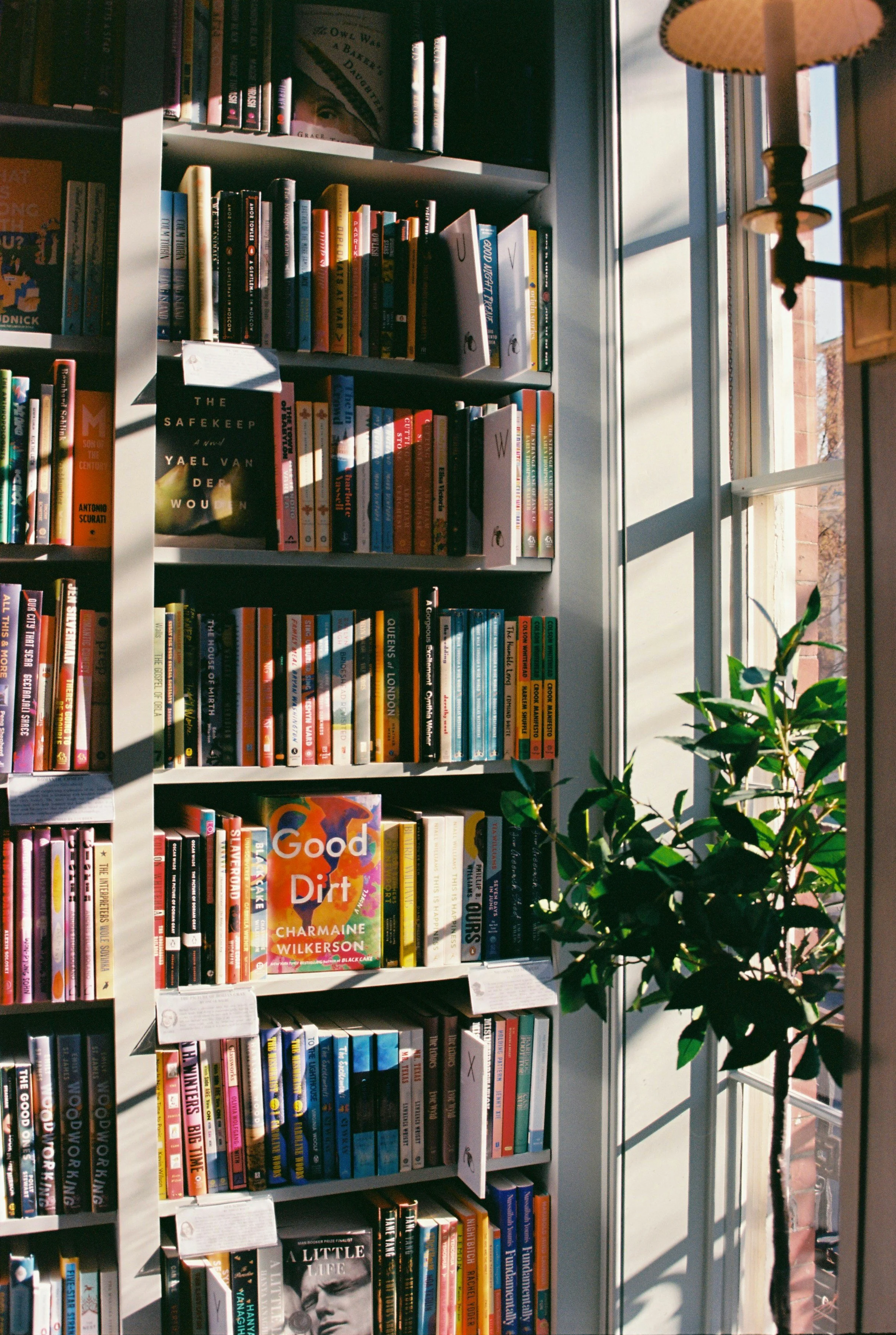 An indie author's bookshelf filled with various colorful books, positioned near a window. Sunlight is casting shadows on the books, and there is a plant with green leaves next to the bookshelf.