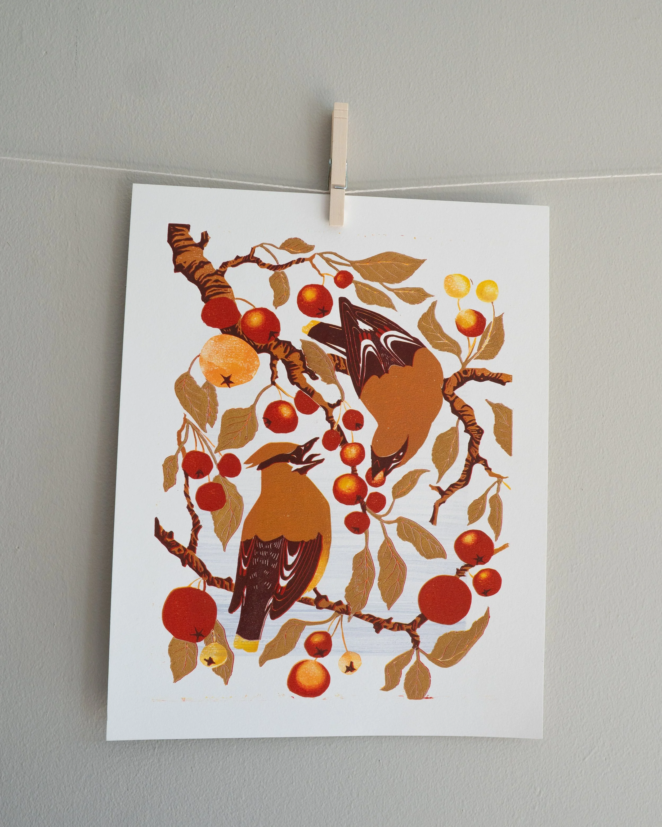 WaxwingsAheadofWinter_9.jpg