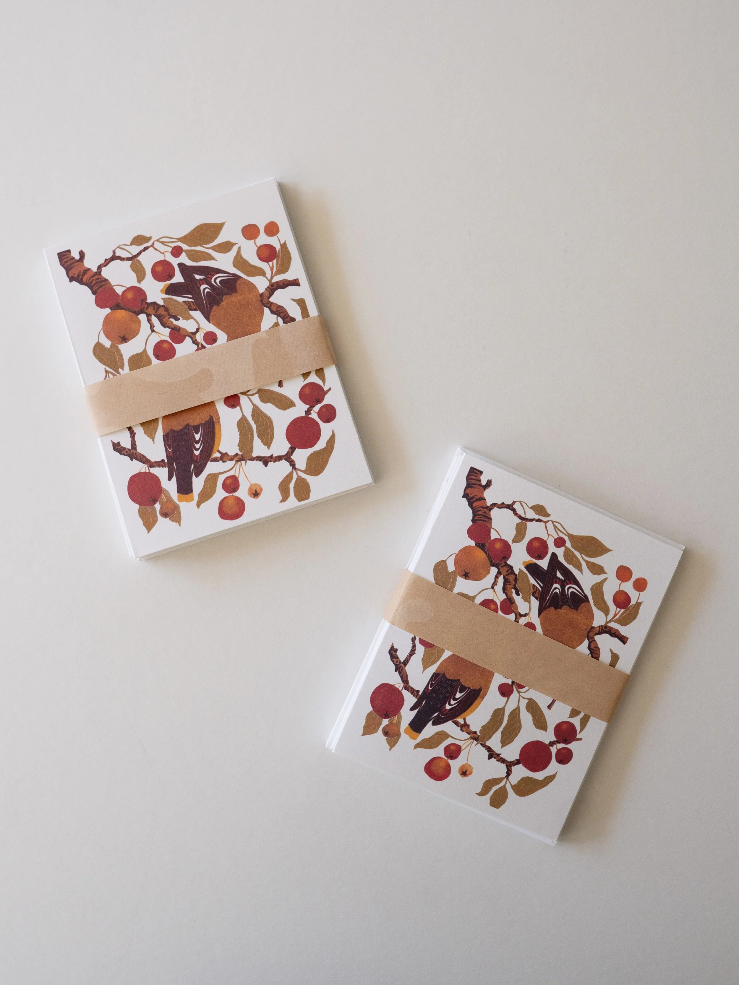 Waxwings-CardPack_WEB_4.JPG.jpg