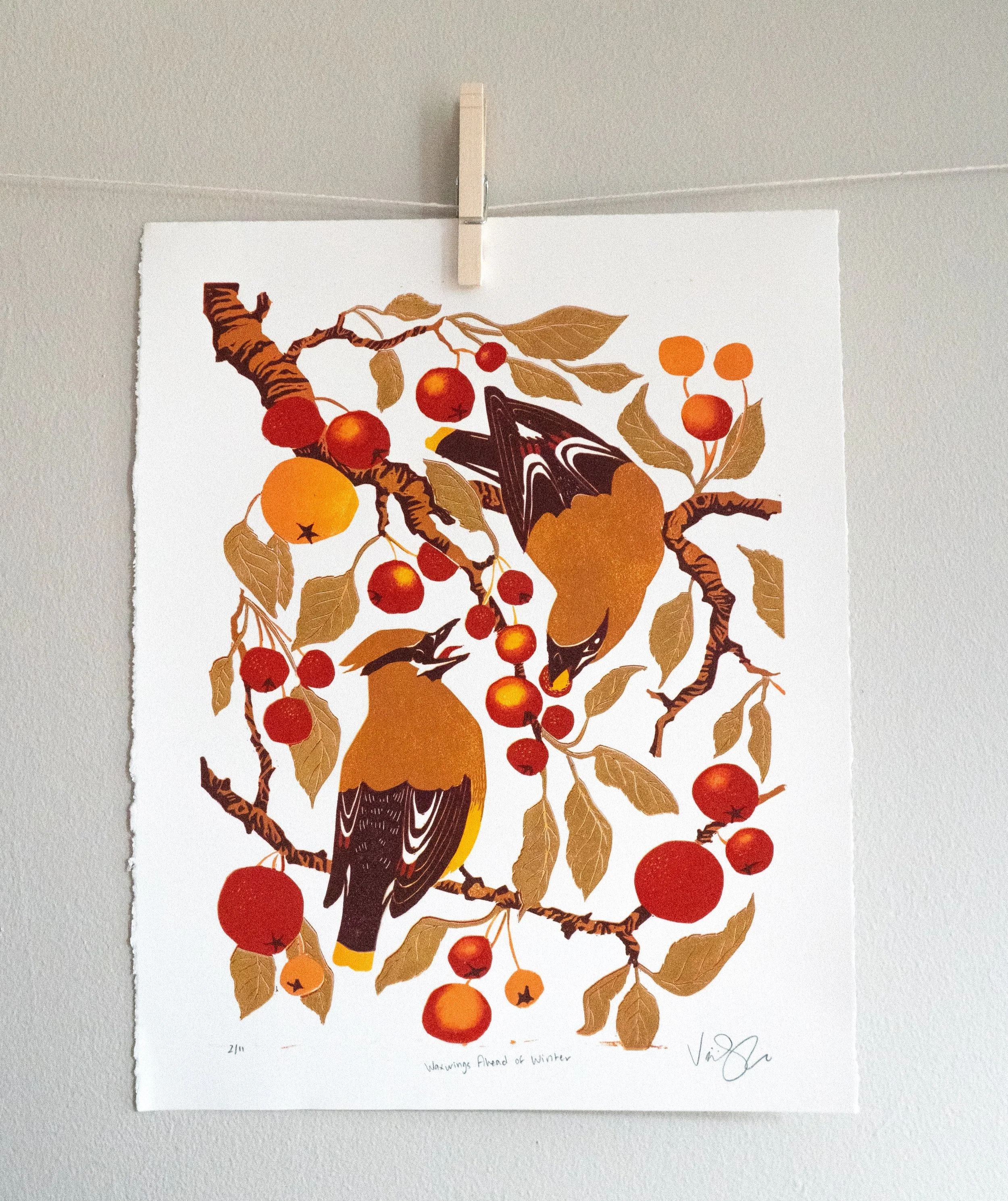I&rsquo;ve added some of the limited edition originals and greeting cards featuring Waxwings Ahead of Winter to my website! Go check em out :) 

Fine art prints will be available soon! 😗

#coloradoartist #reductionlinocut #printmakingprocess #artmar