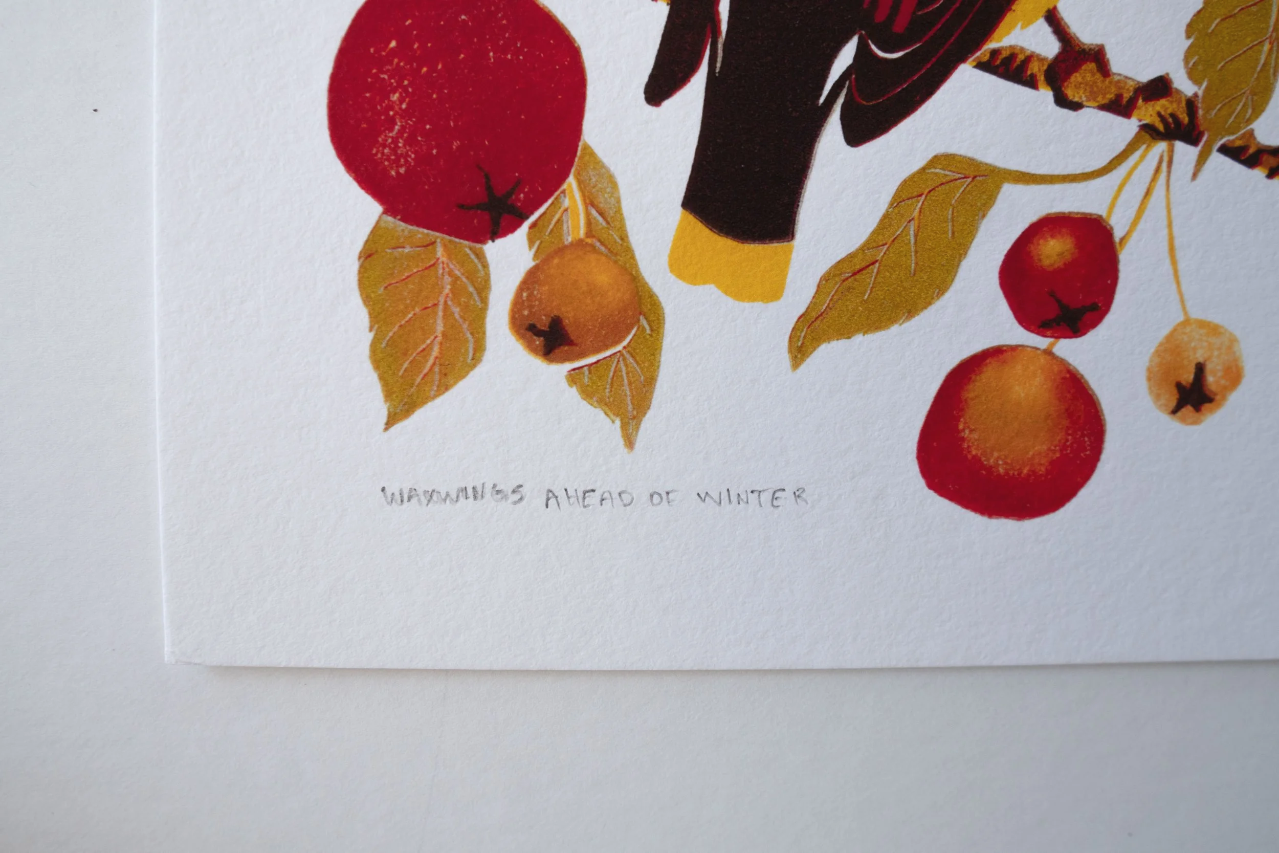 Waxwings-8.5x11_WEB_3.png