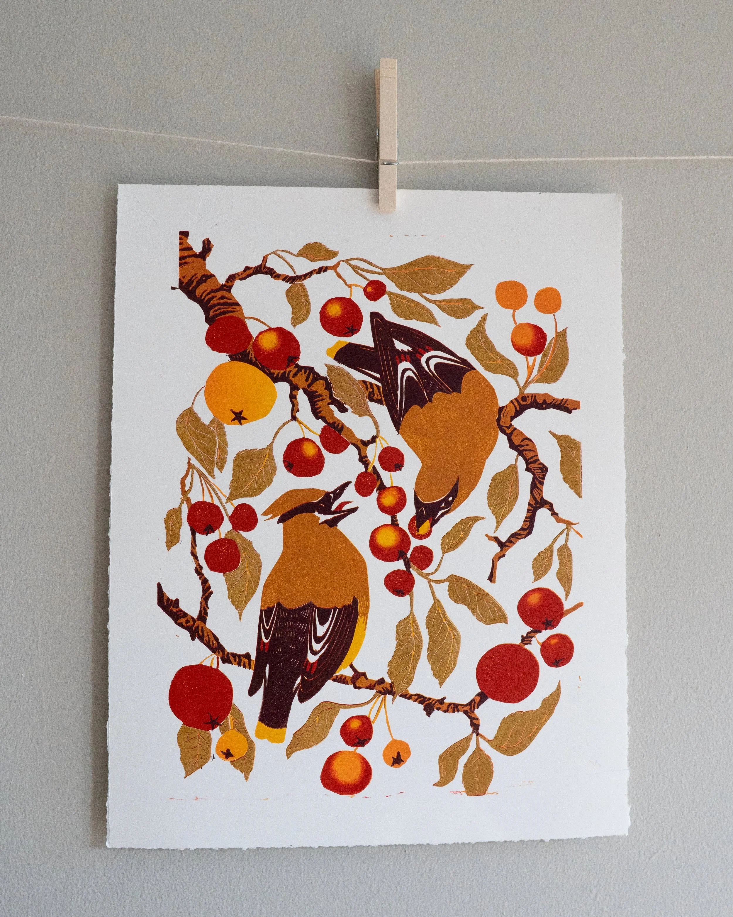 WaxwingsAheadofWinter_7-LOWRES.jpg