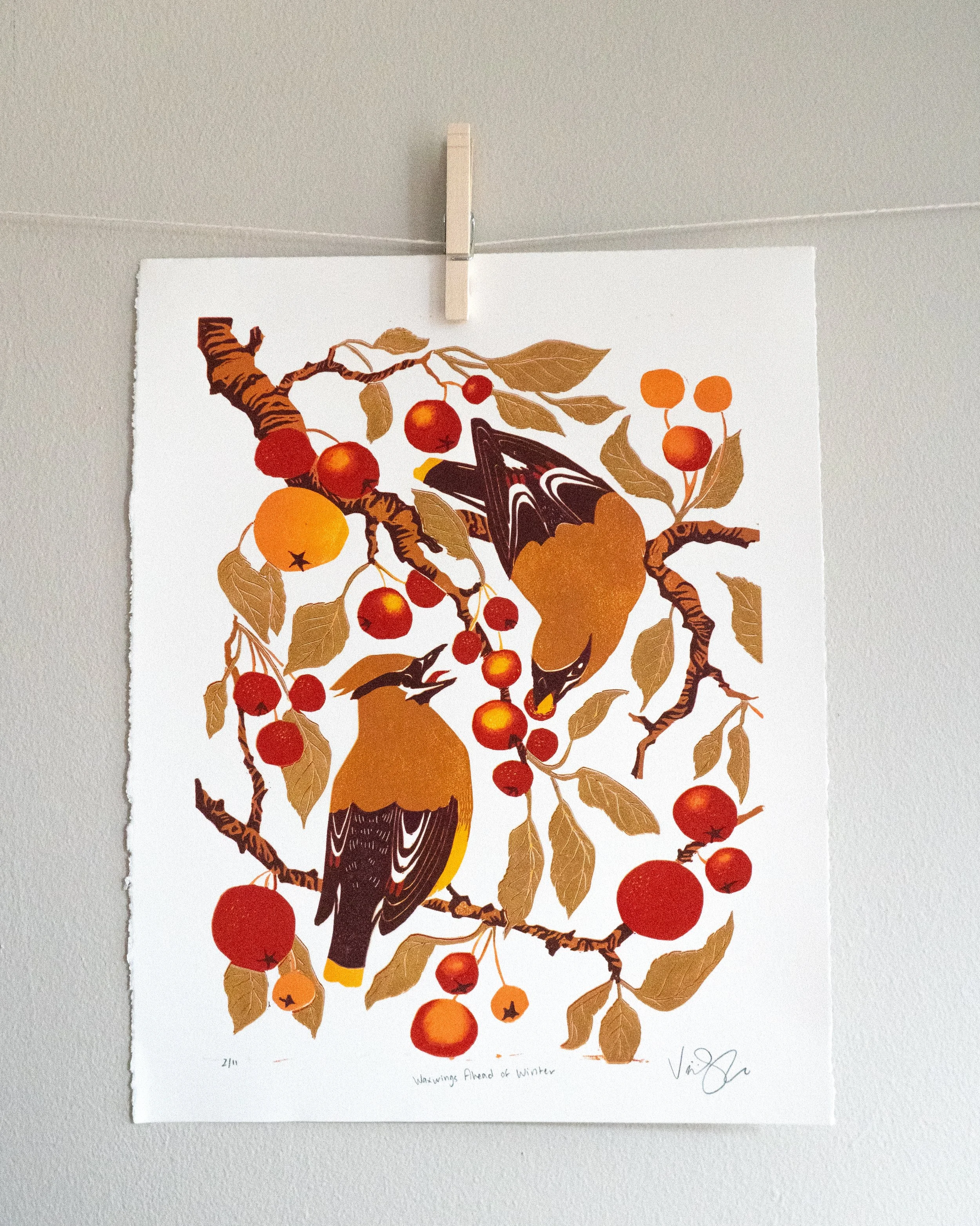 WaxwingsAheadofWinter_2-OG.jpg