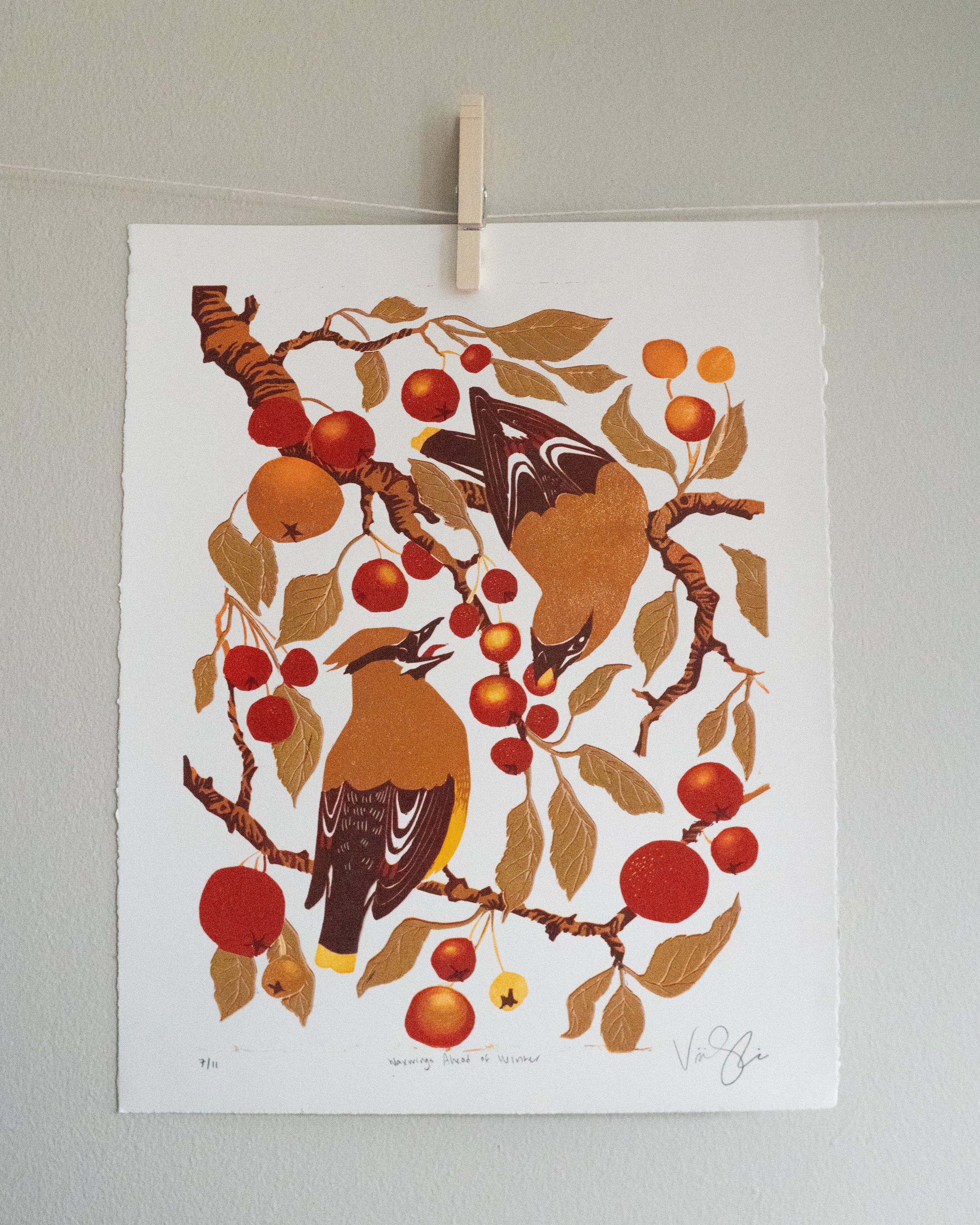 WaxwingsAheadofWinter_7-OG.png.jpg