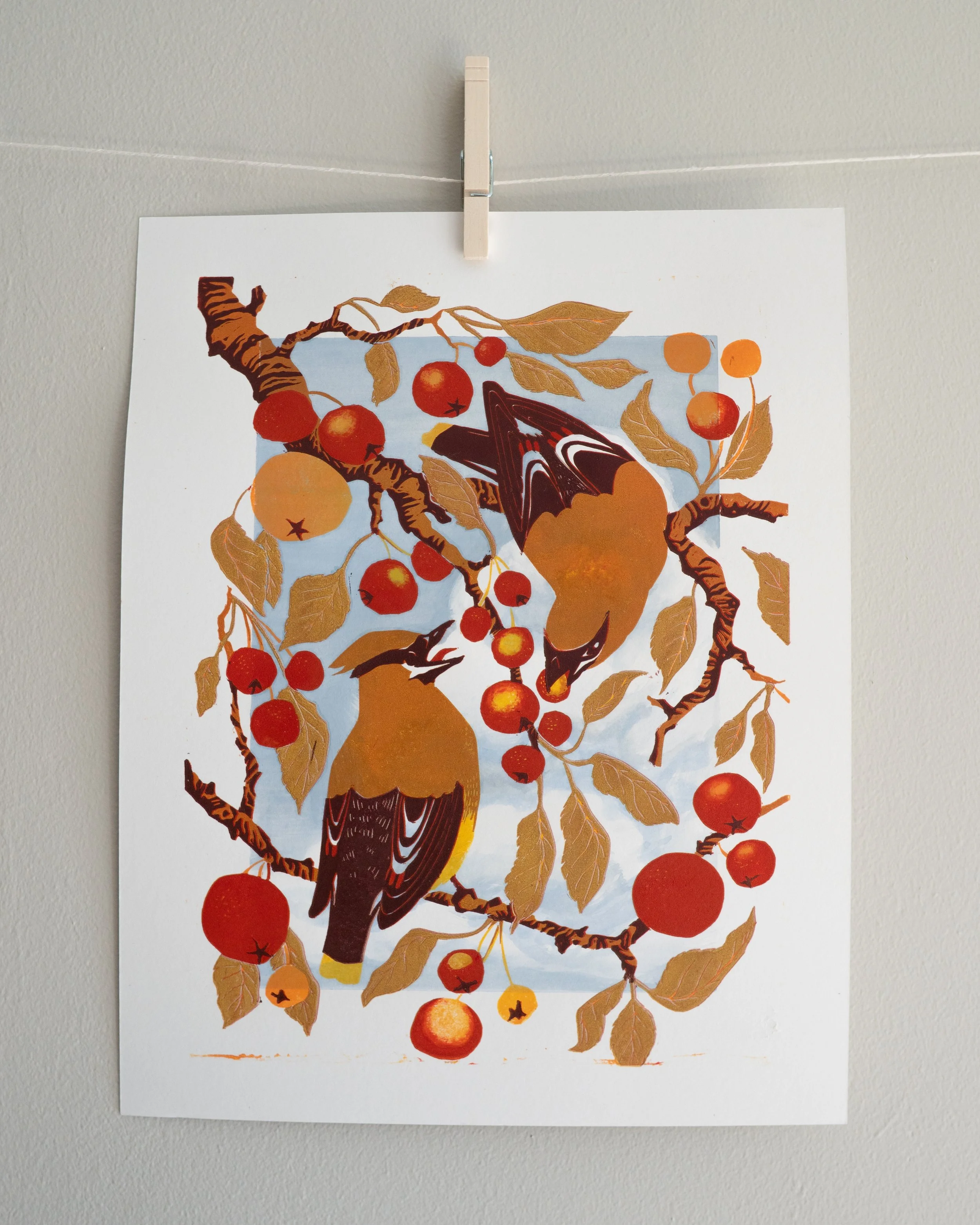 WaxwingsAheadofWinter_11.jpg