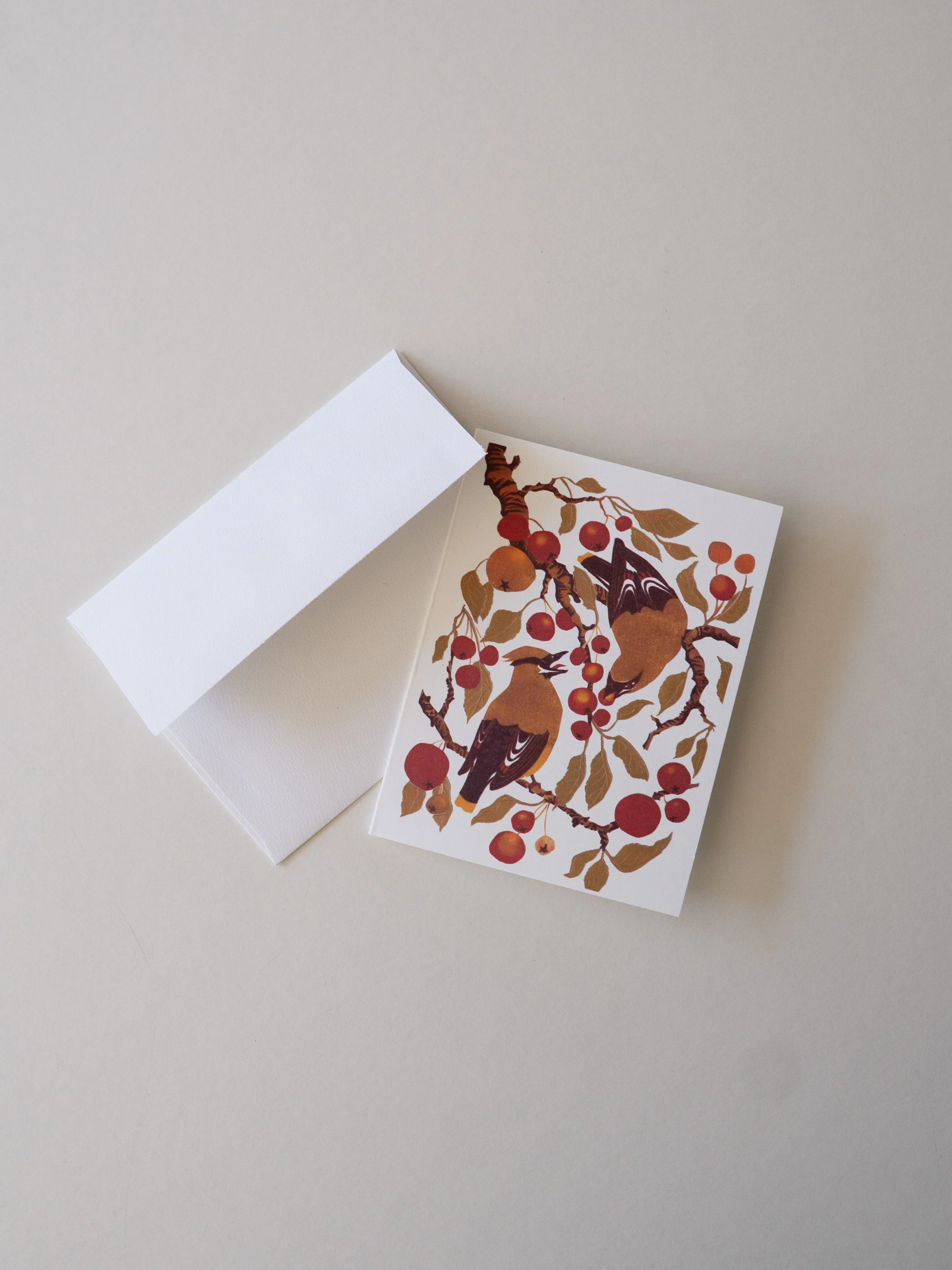Waxwings-CardPack_WEB_3.JPG.jpg