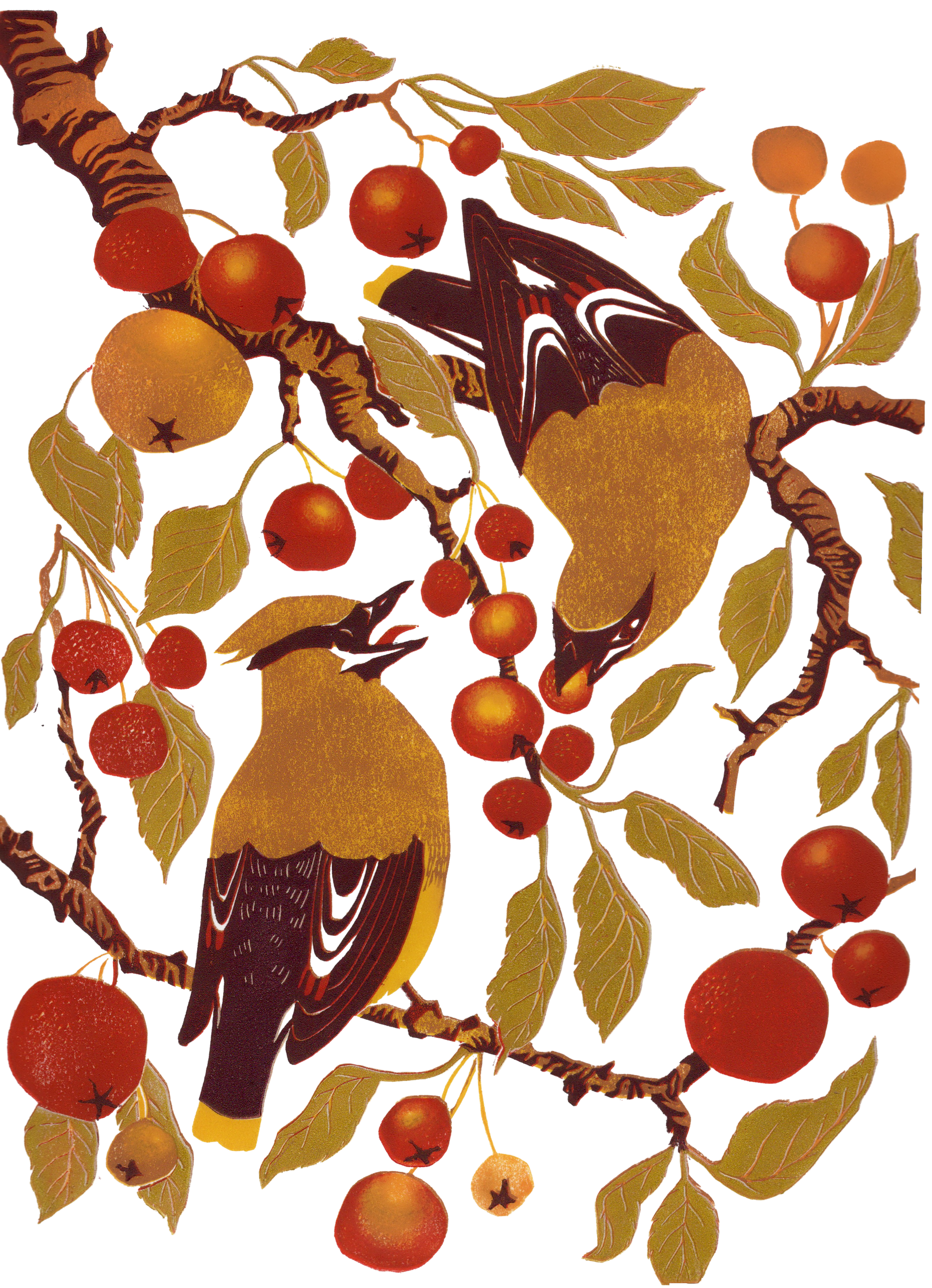 Waxwings Ahead of Winter: 6-Color Reduction Linocut