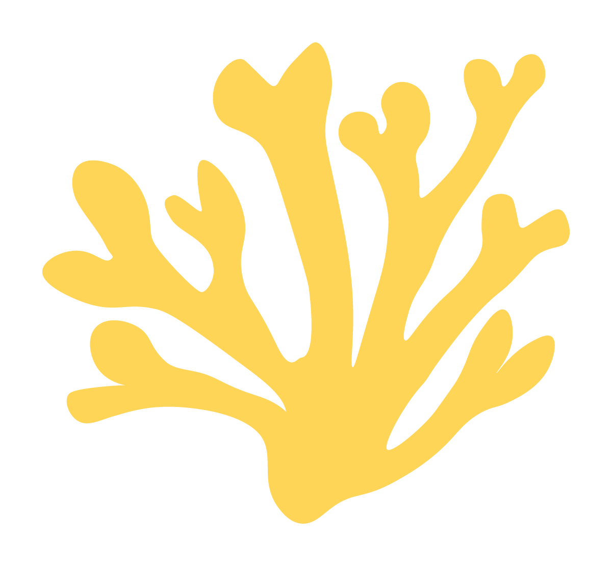 Yellow seaweed illustration