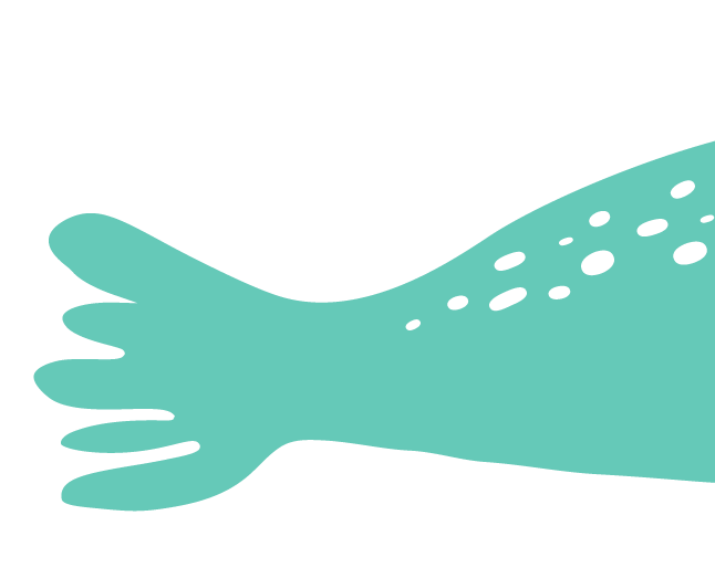 Illustration of a light blue harbor seal tail with spots